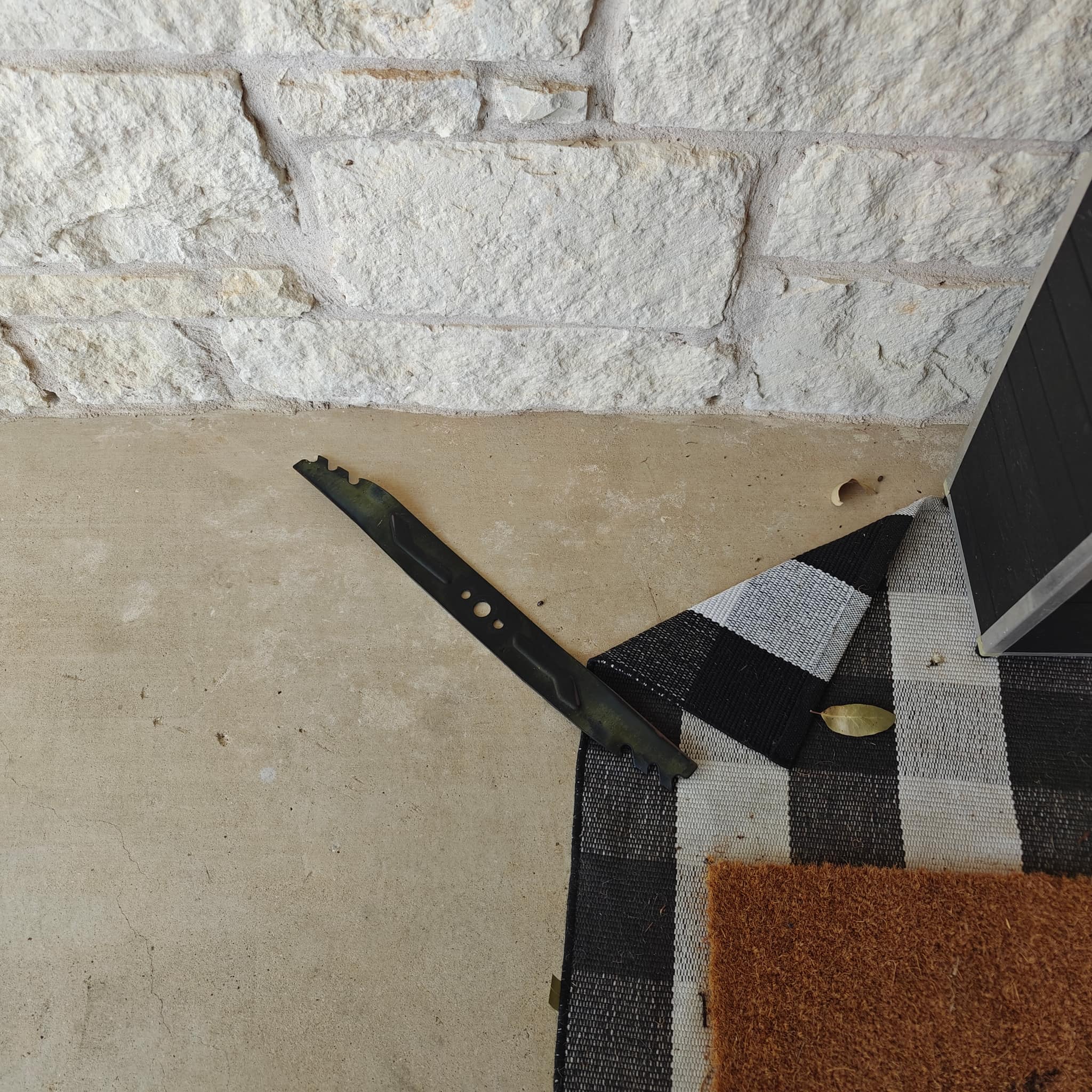 Professional knife sharpening result – polished blade