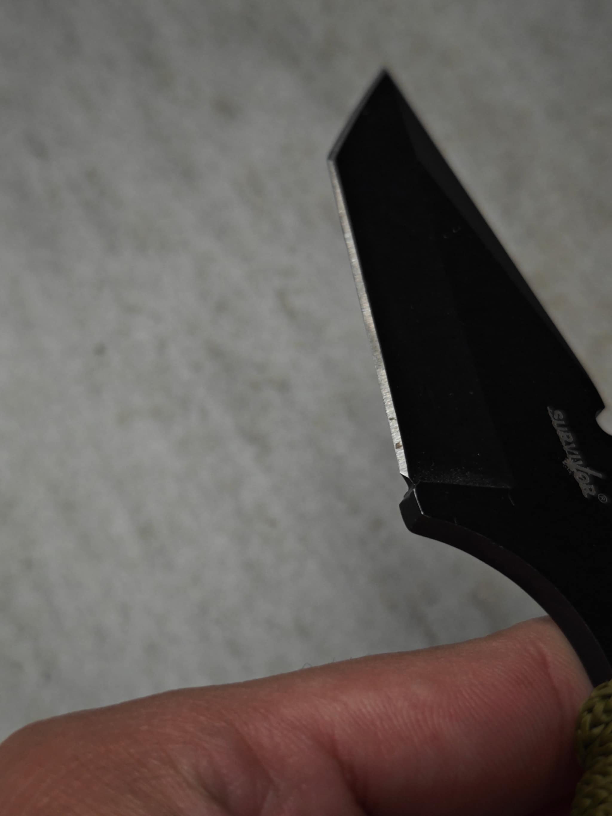 Pocket knife – clean blade after professional sharpening