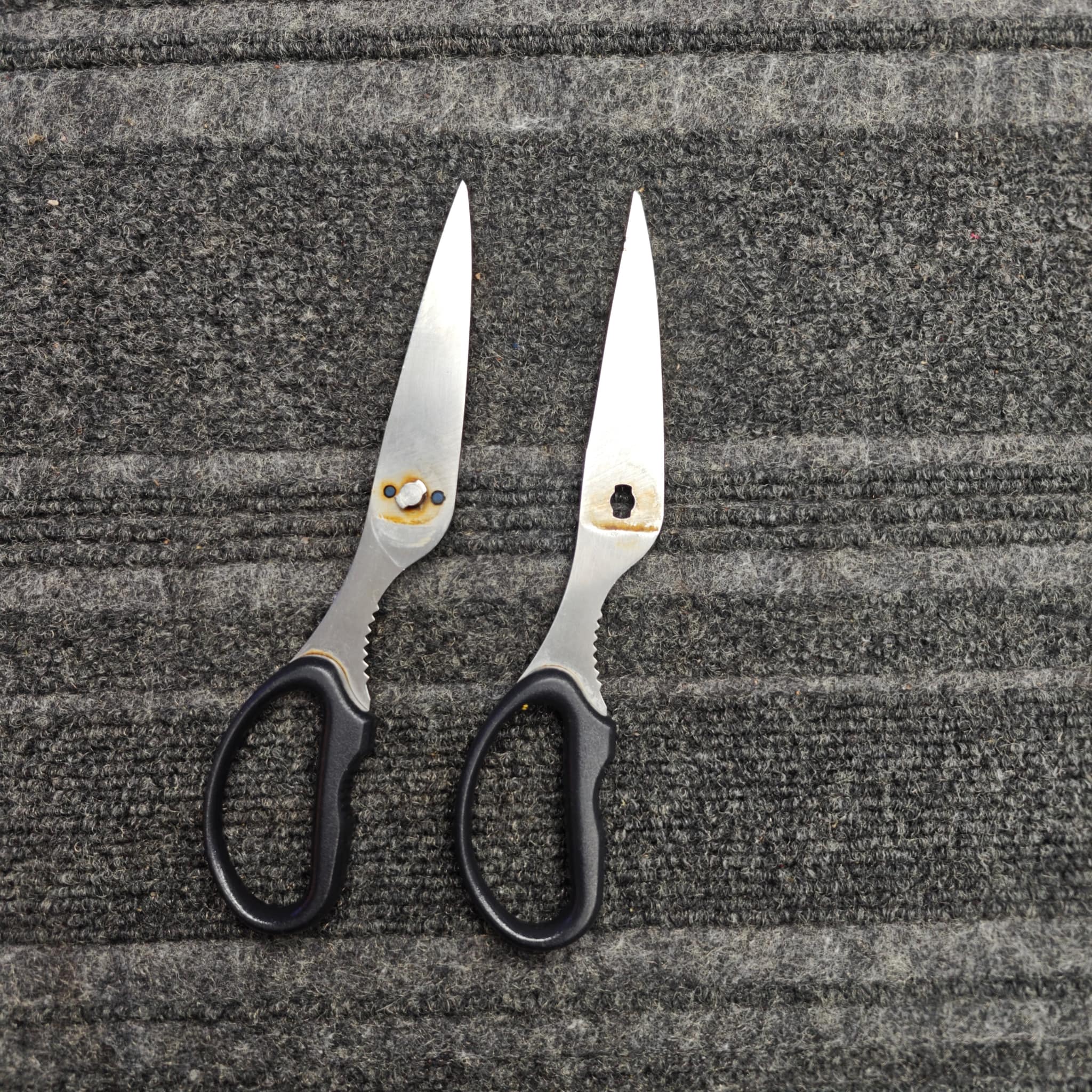 Scissors after afternoon sharpening session
