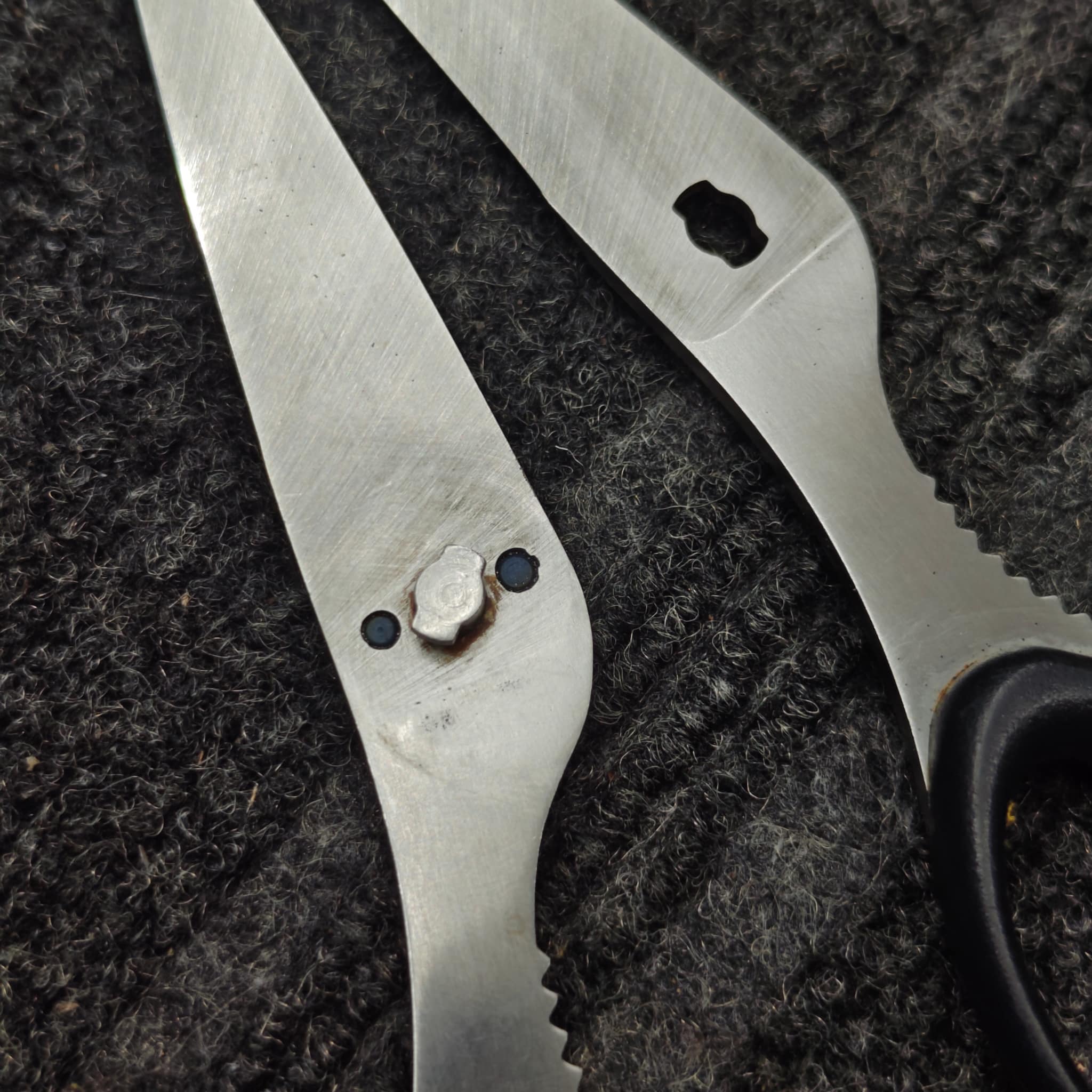 Multiple scissors after professional sharpening batch