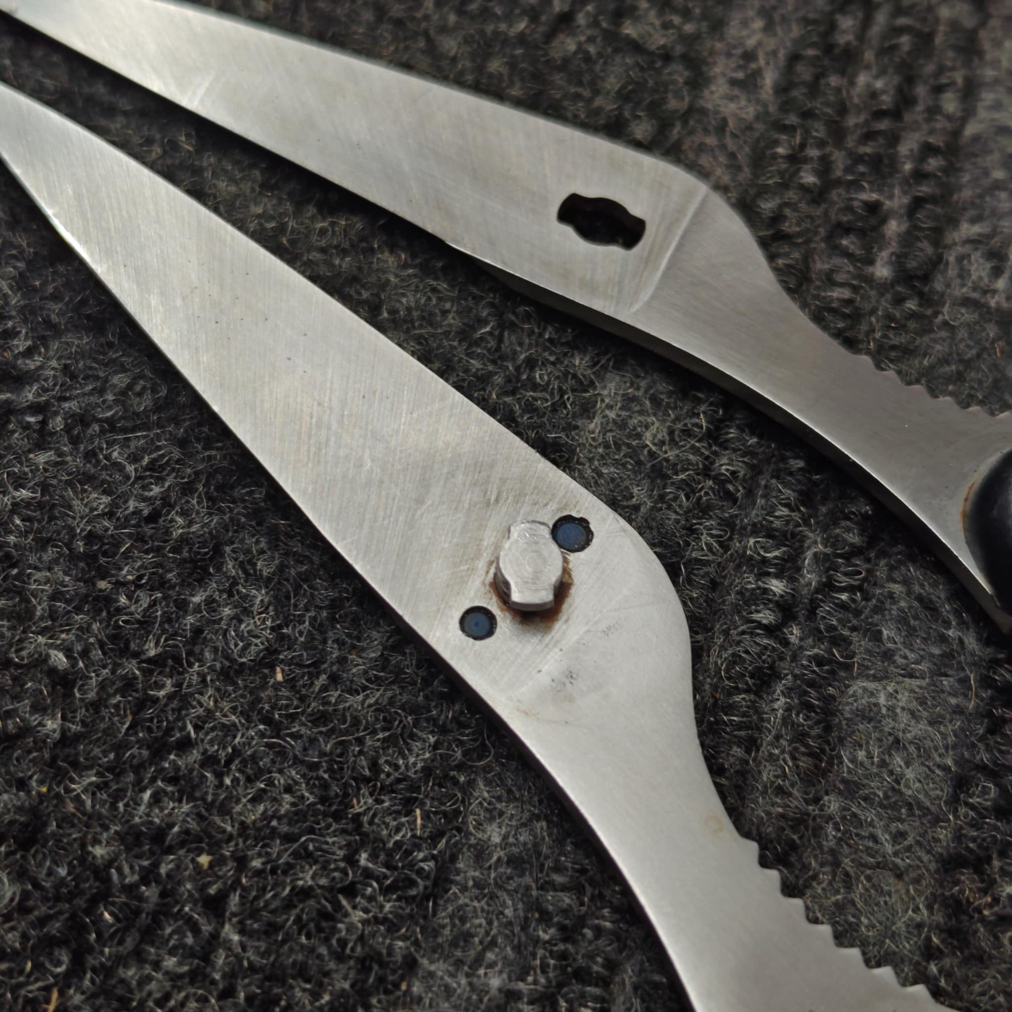 Scissors ready for return after sharpening
