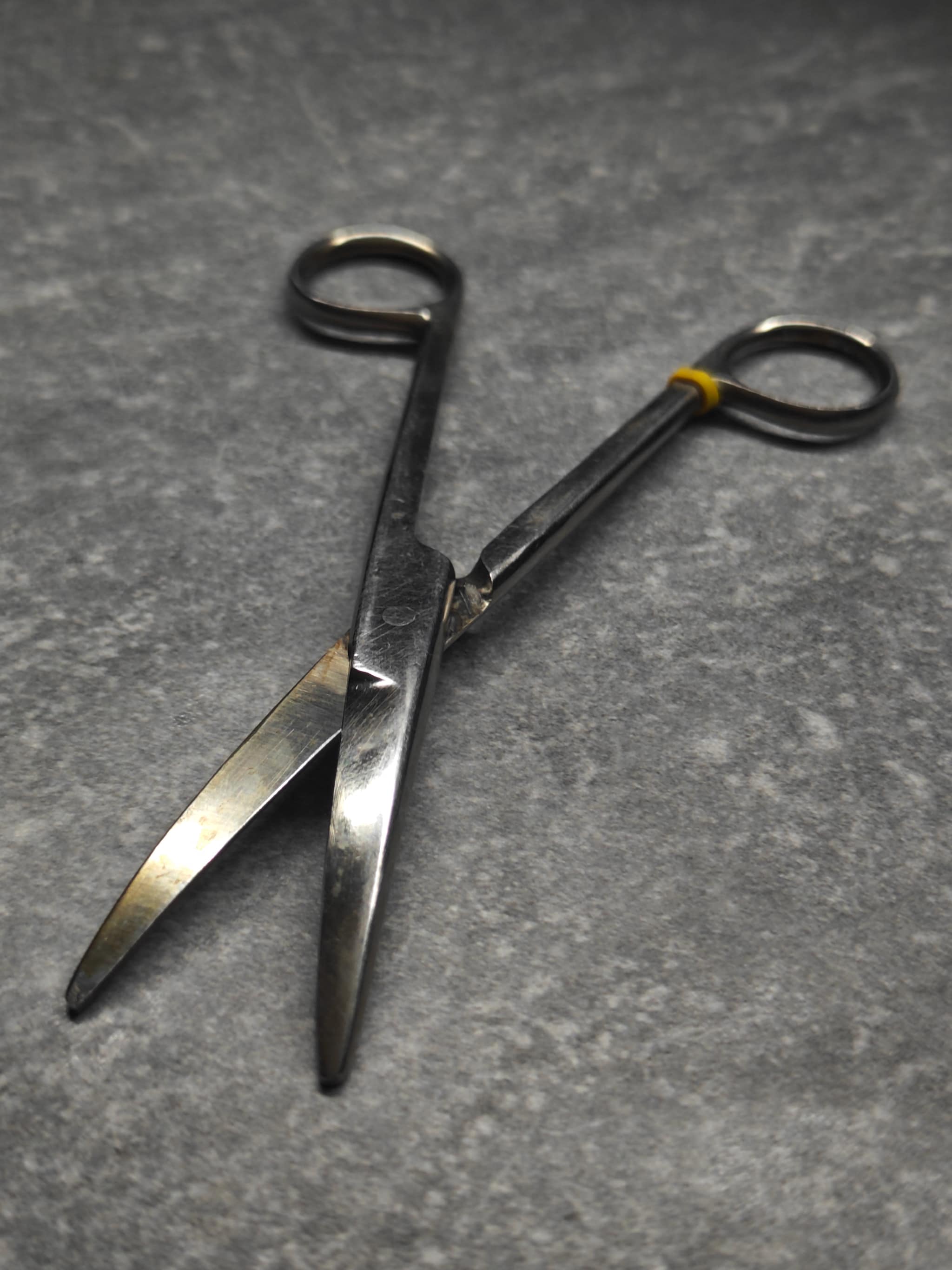 Scissors blade detail – clean and sharp Apr 30
