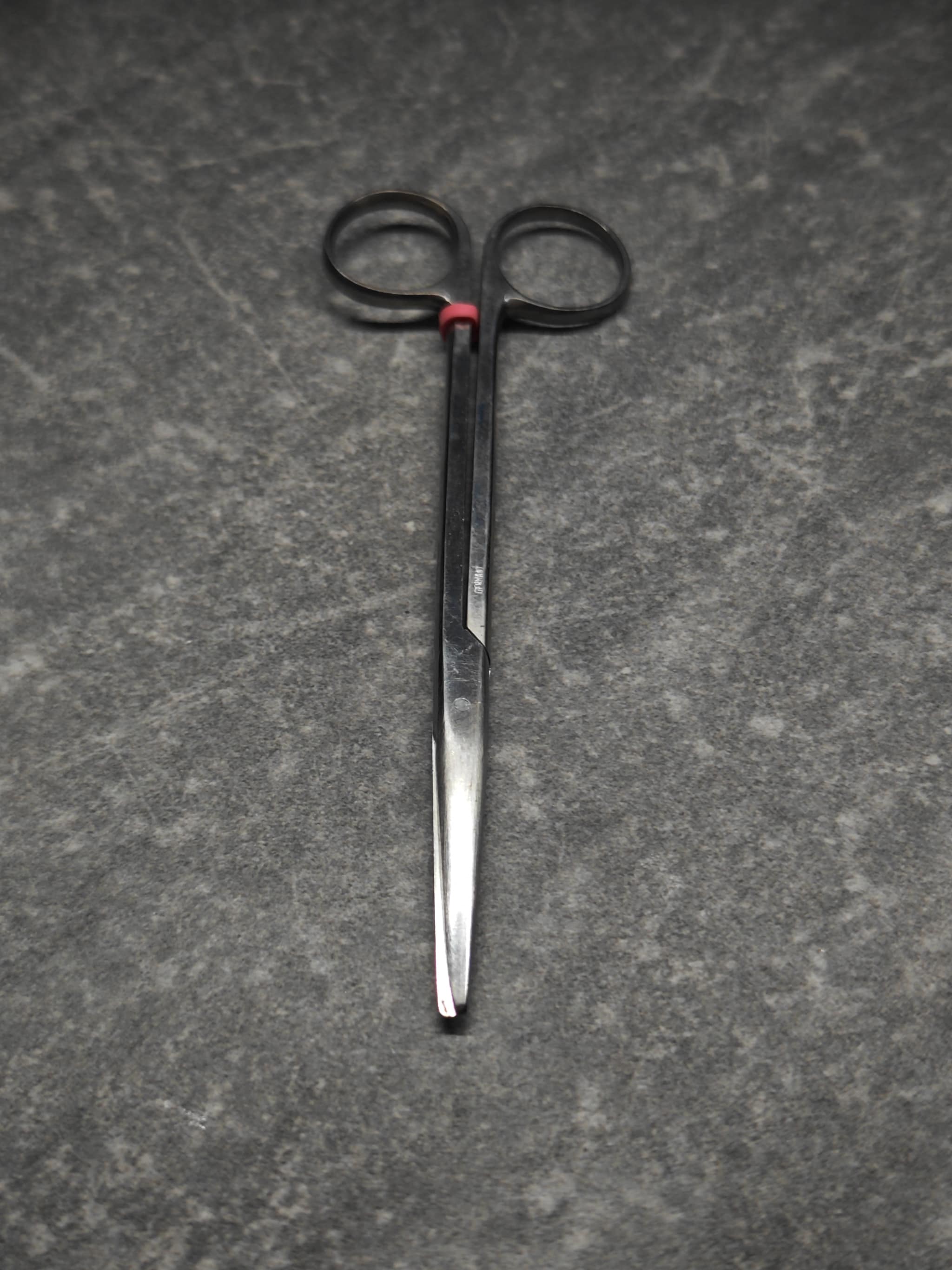 Scissors after Apr 30 afternoon service