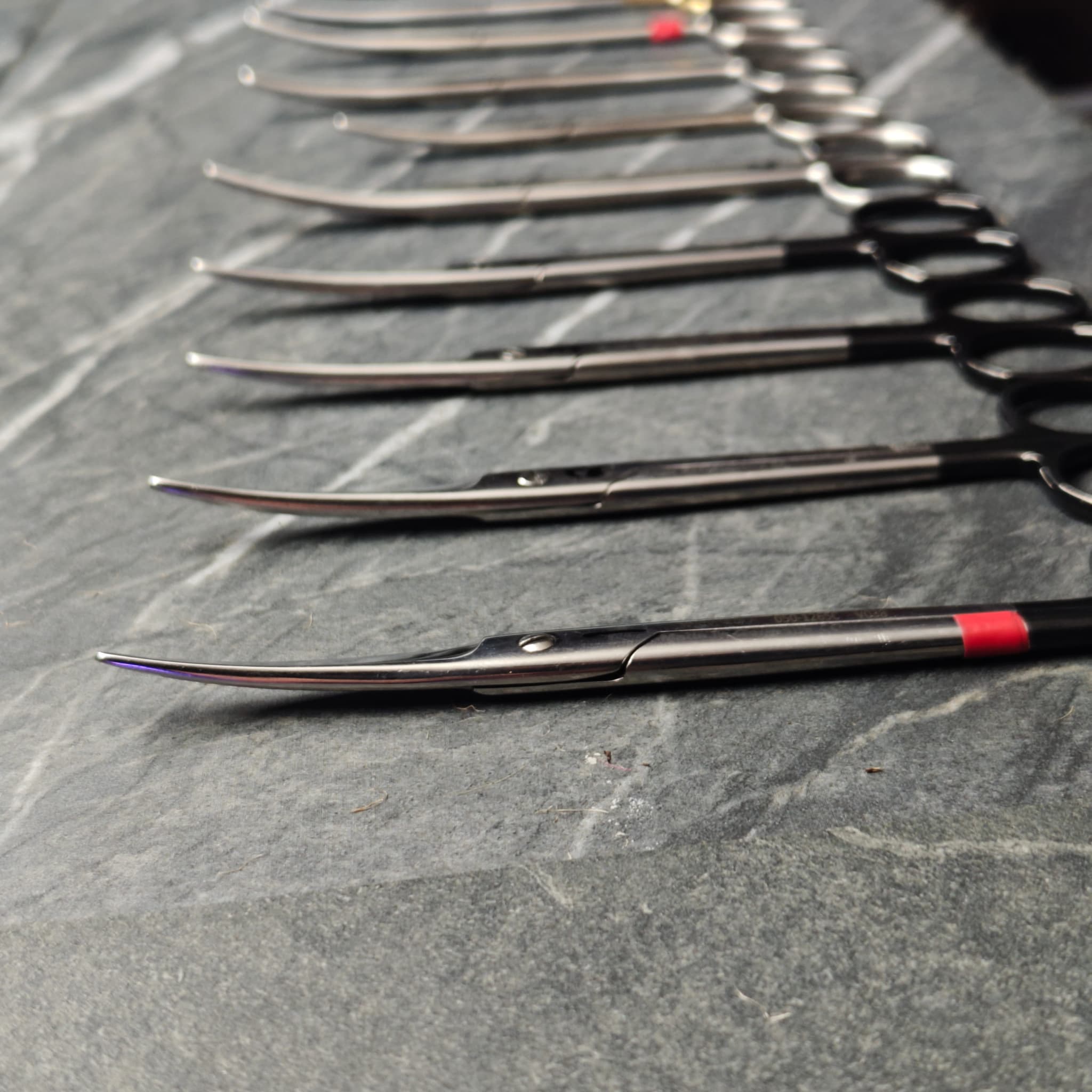 Scissors blade closeup after sharpening