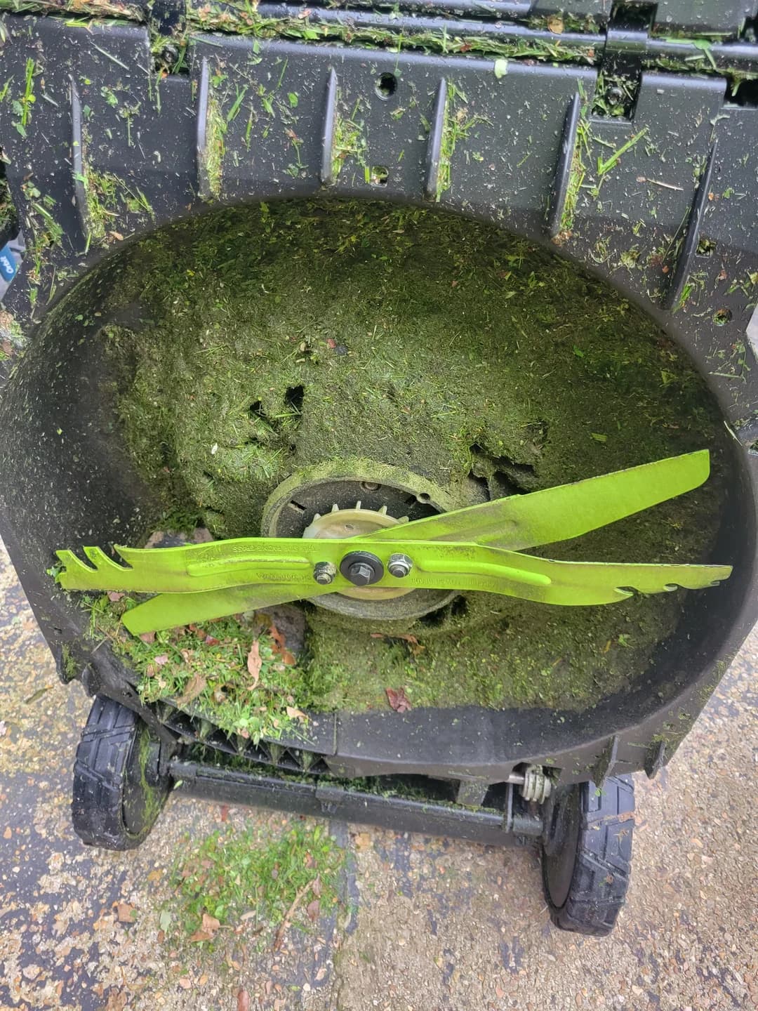 Dull mower blade inside dirty push mower deck covered in grass clippings before sharpening