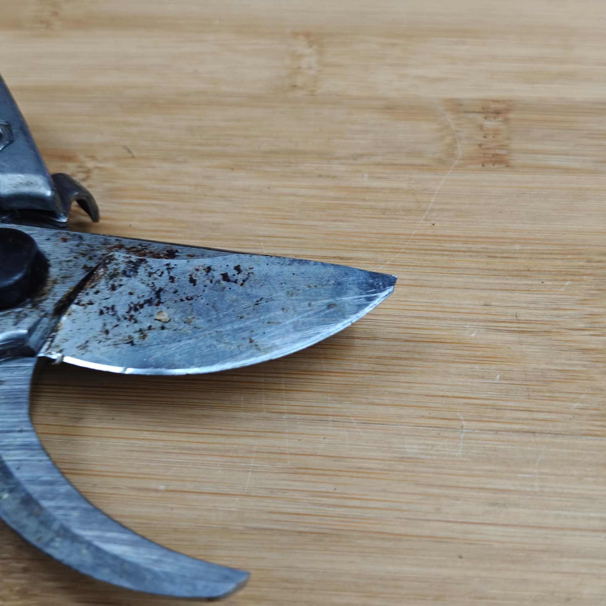 Professional knife sharpening result – razor edge