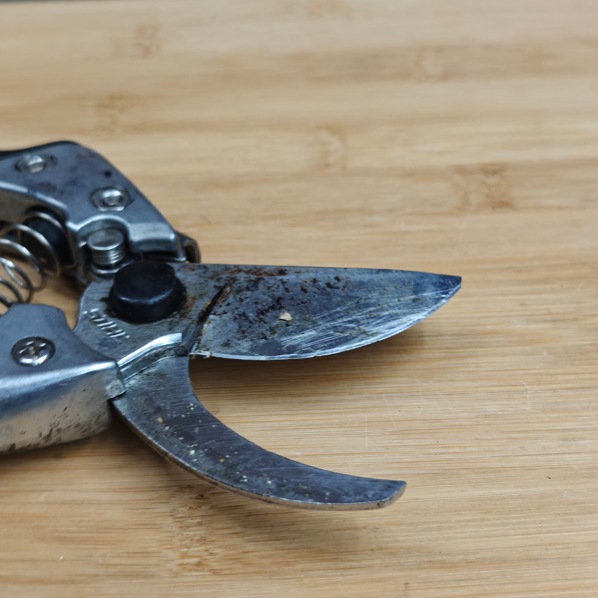 Close-up of sharpened knife edge showing precision