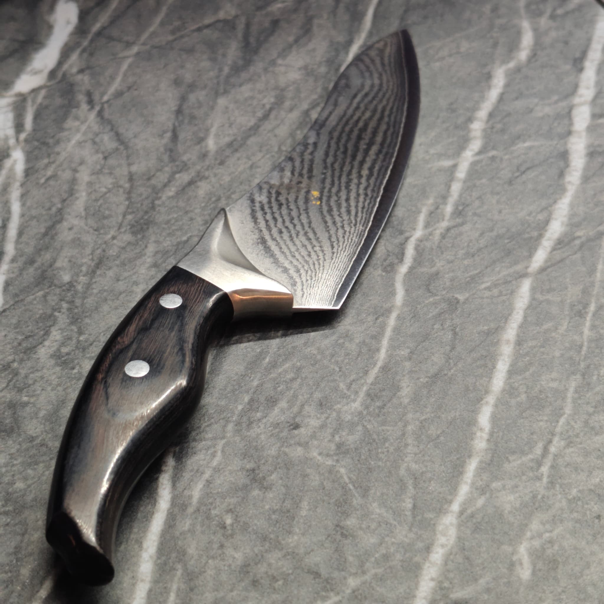 Precision scissors after sharpening detail