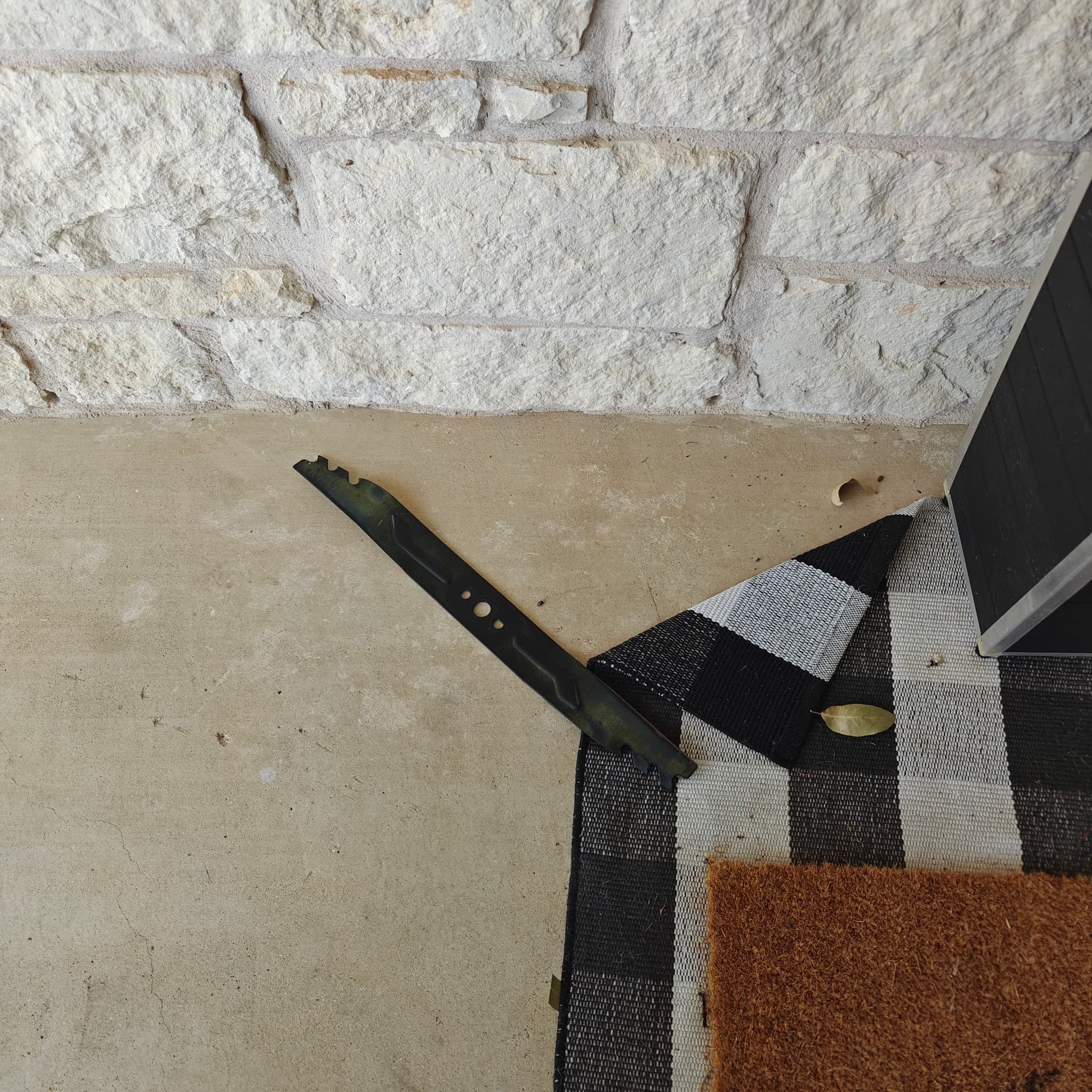 Professional knife sharpening result – polished blade