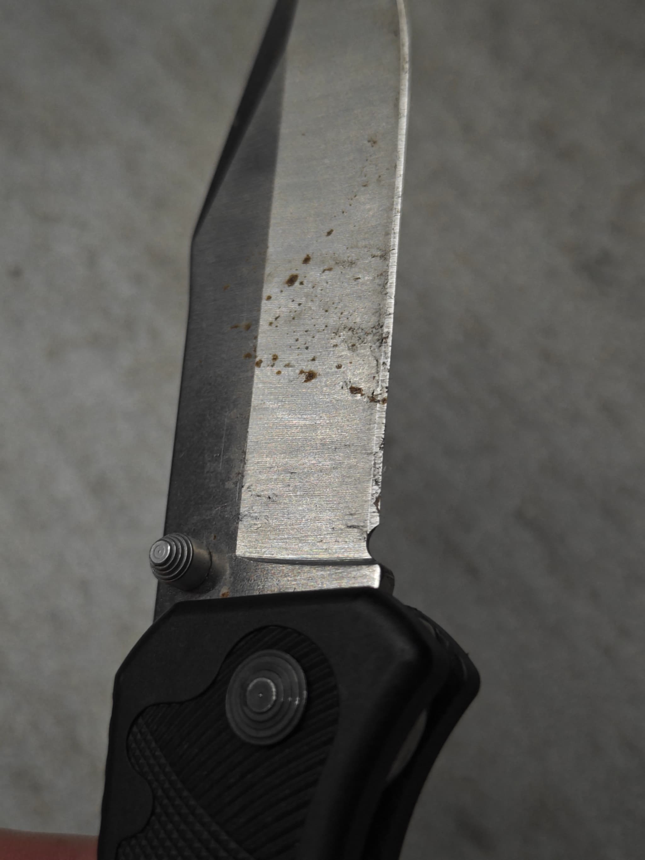 SOG pocket knife – dull tip before sharpening