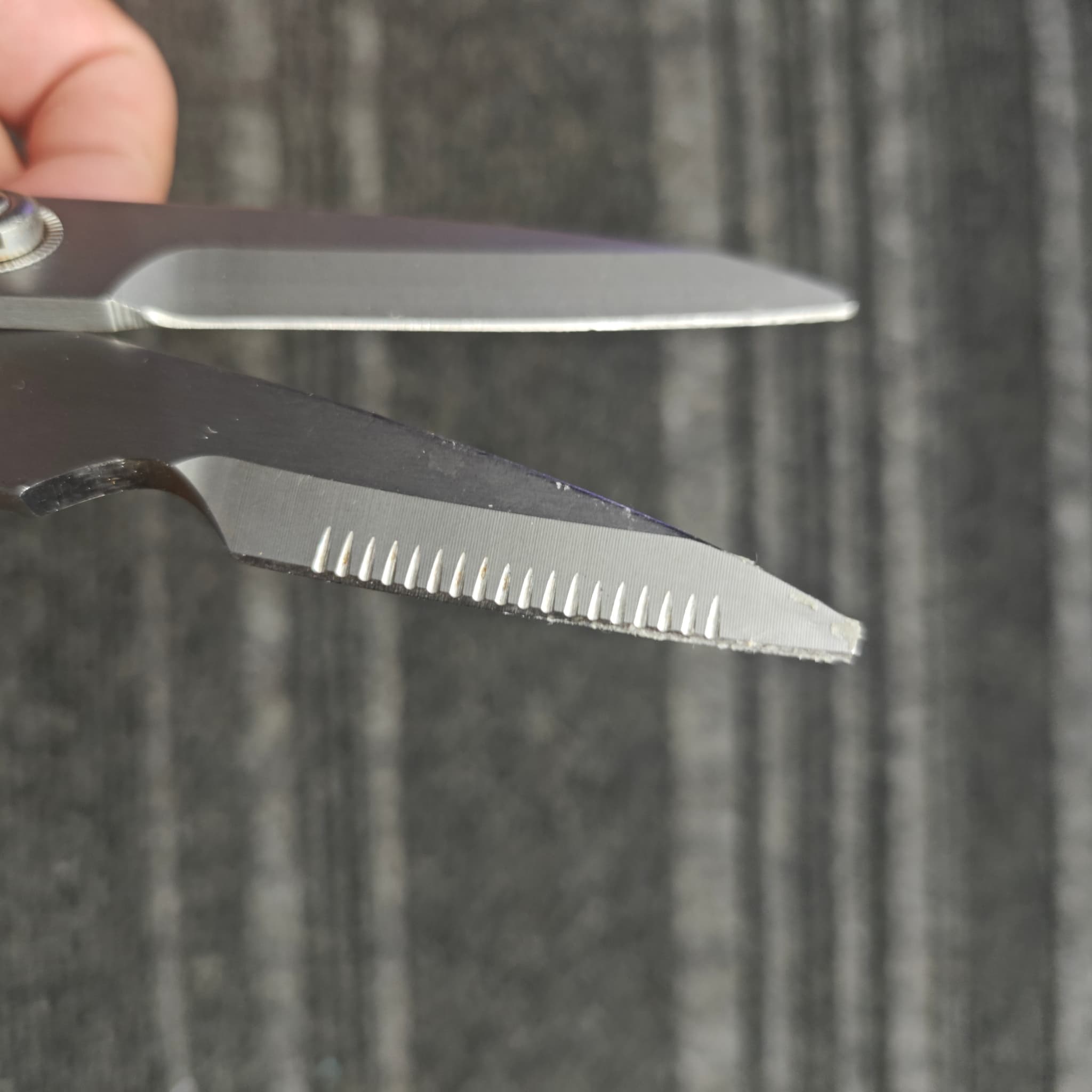 Scissors after professional edge restoration