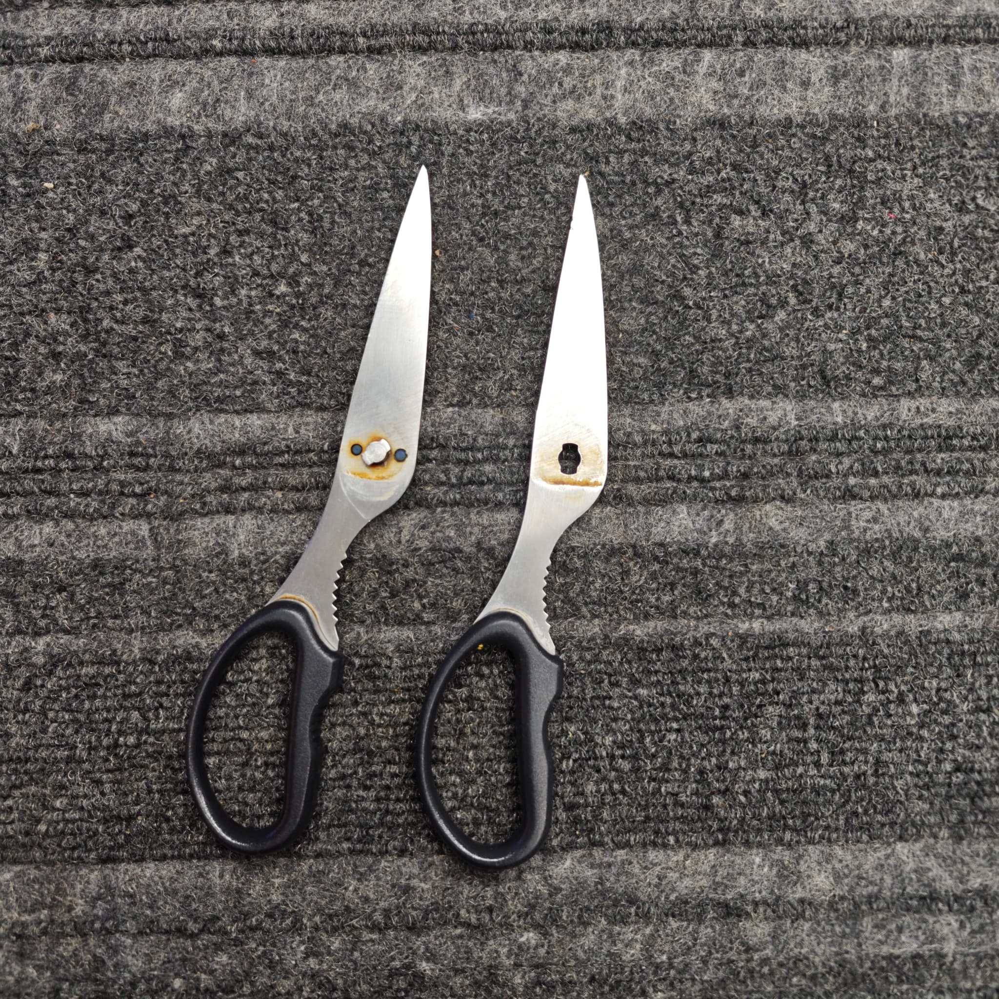 Scissors after afternoon sharpening session