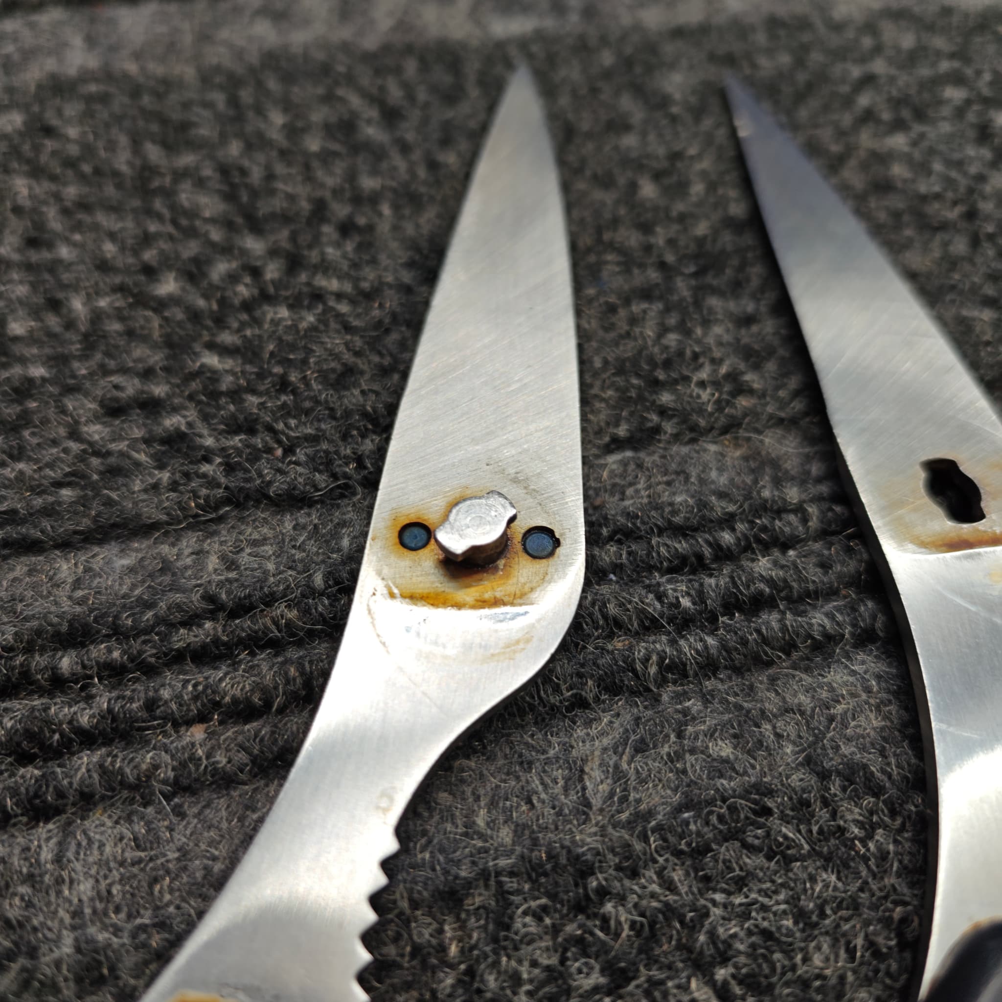 Scissors tip detail after precision sharpening