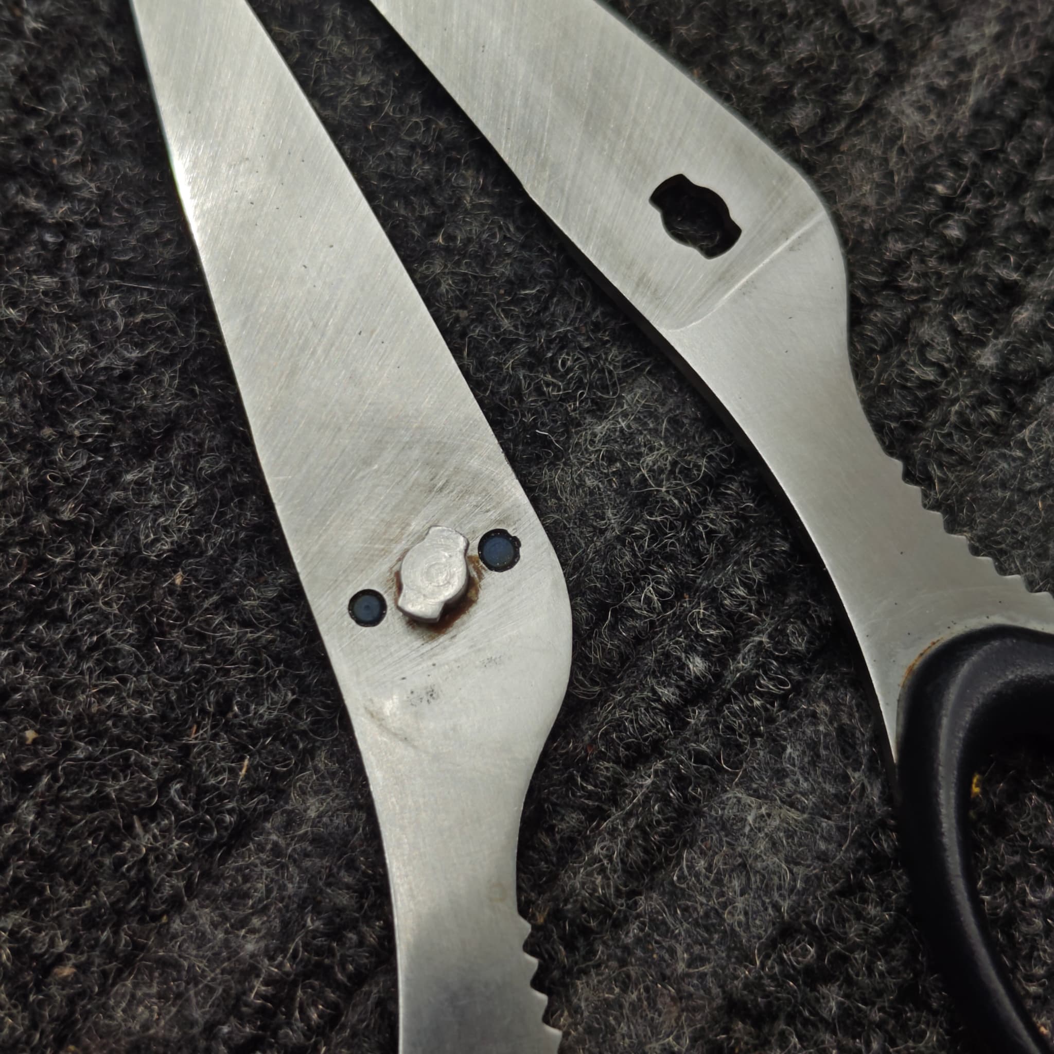 Multiple scissors after professional sharpening batch