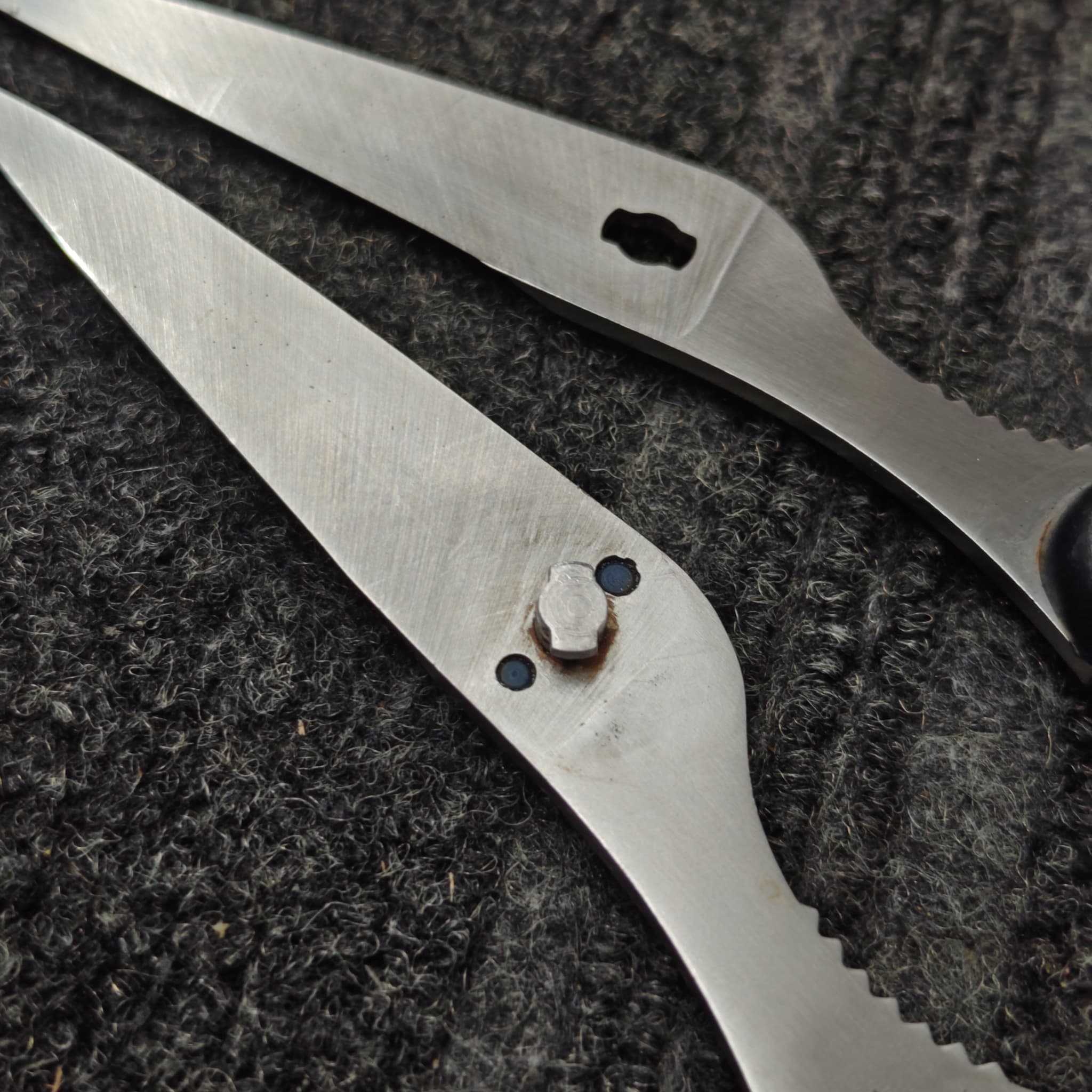 Scissors ready for return after sharpening