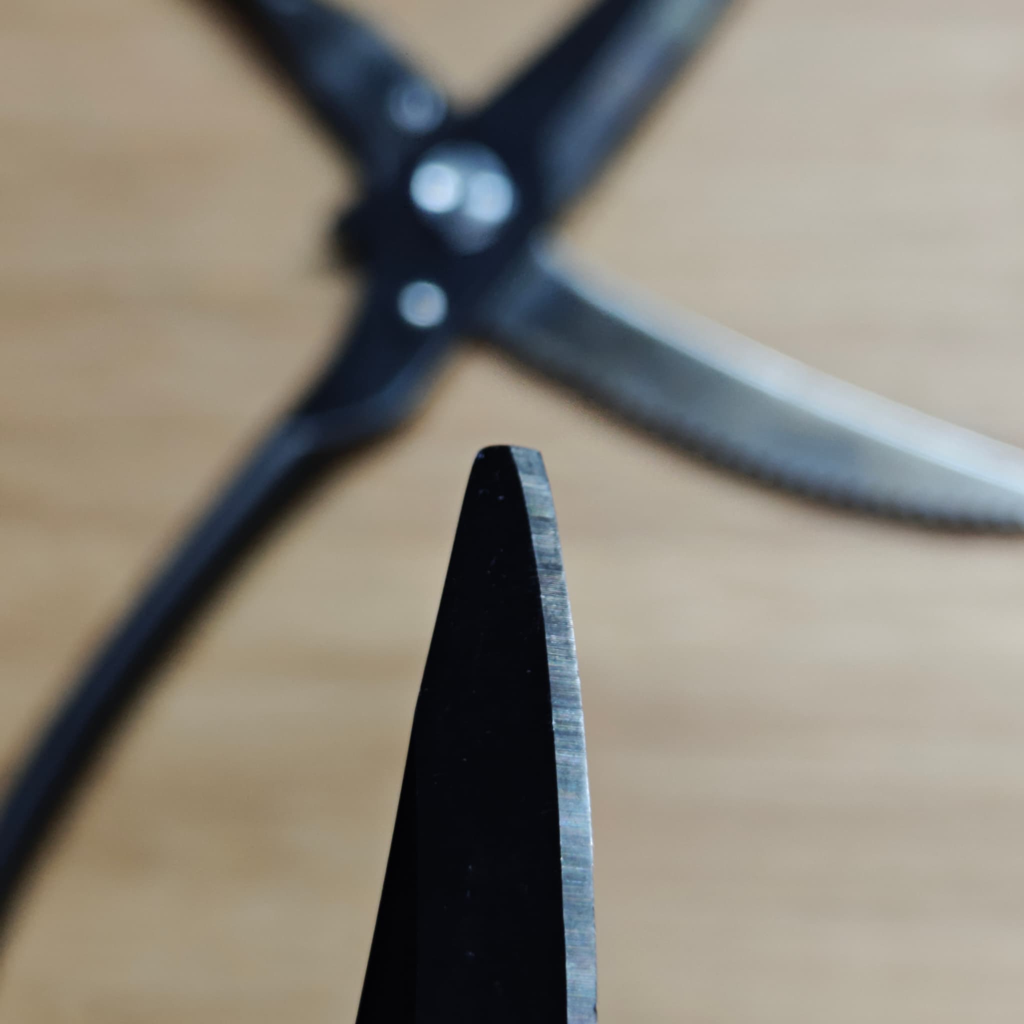 Scissor blades after professional sharpening service