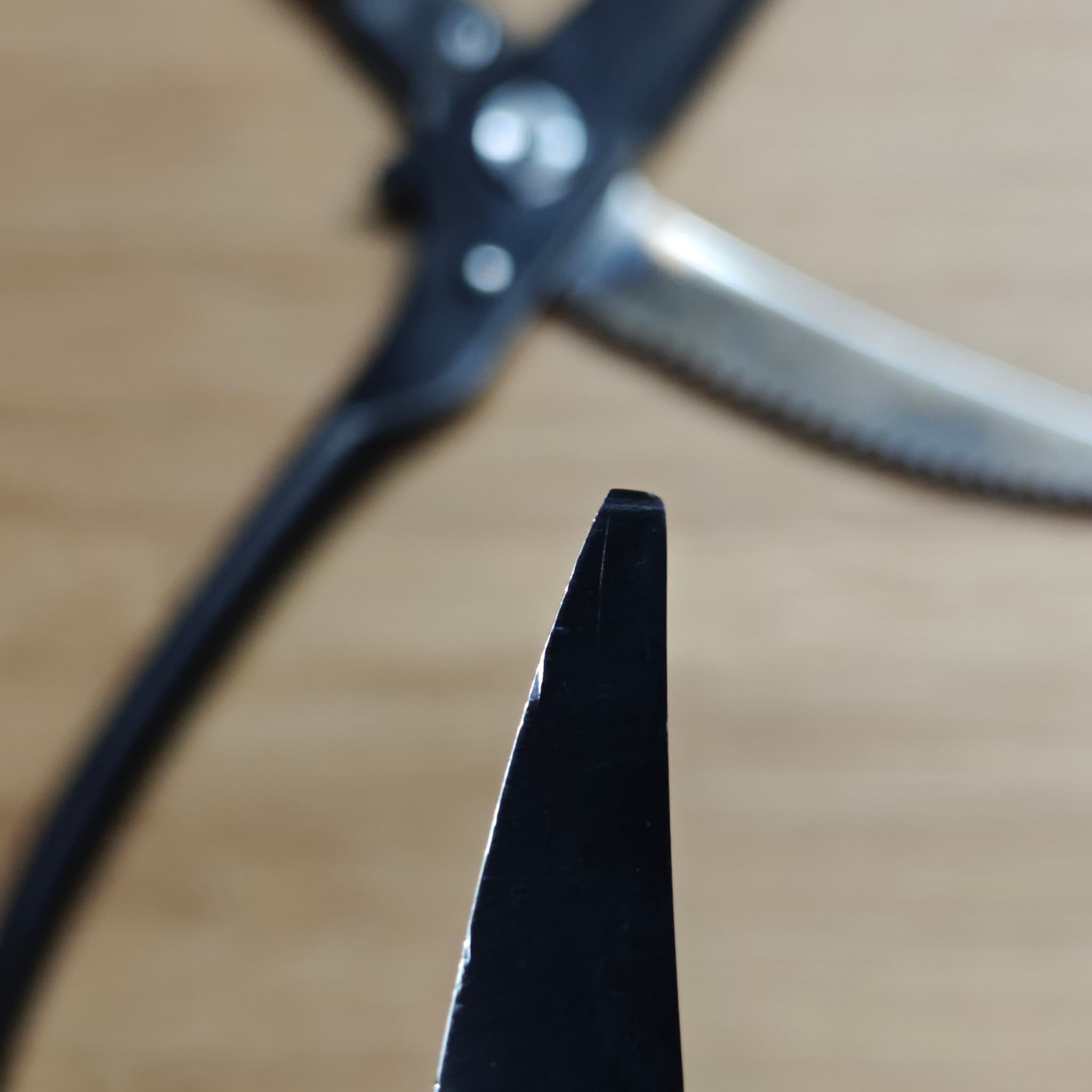 Sharp scissors ready for pickup return – Jan 2026