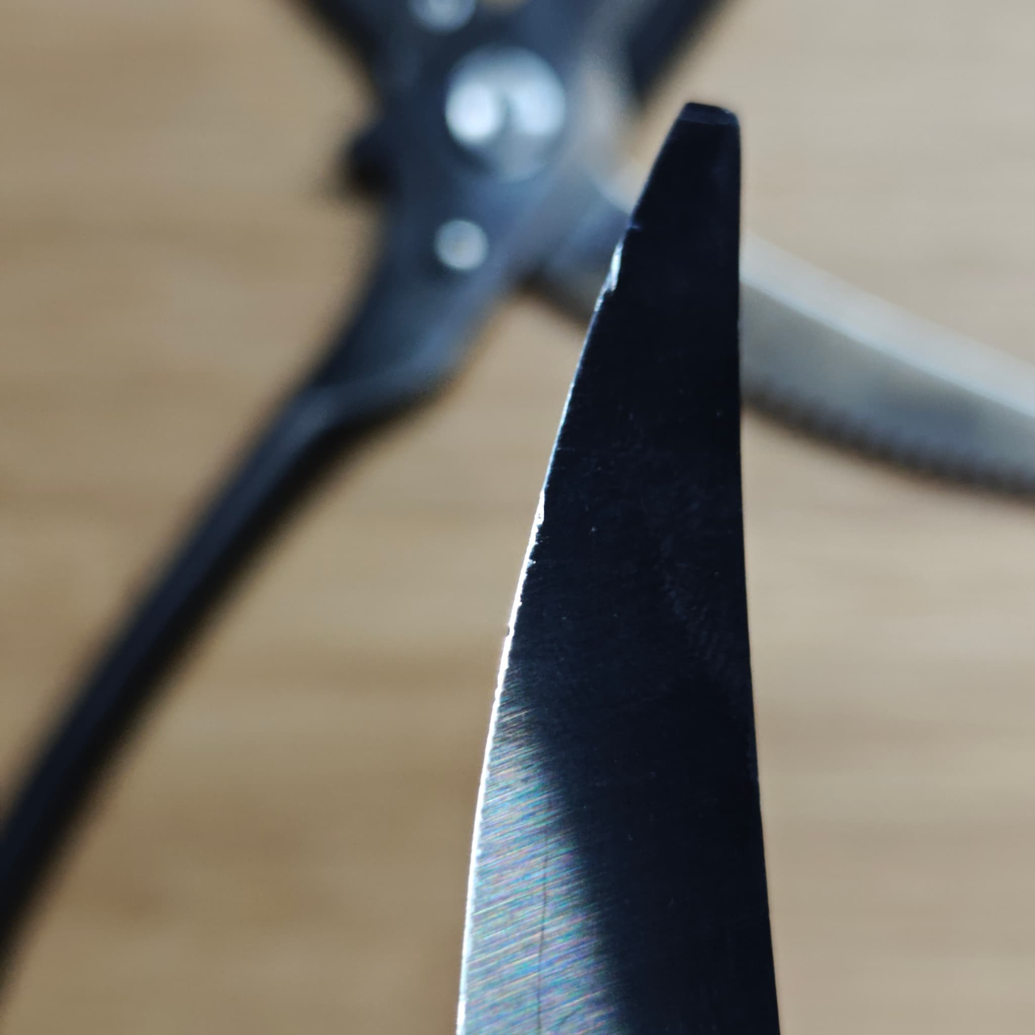 Multiple scissors after Jan 2026 sharpening session
