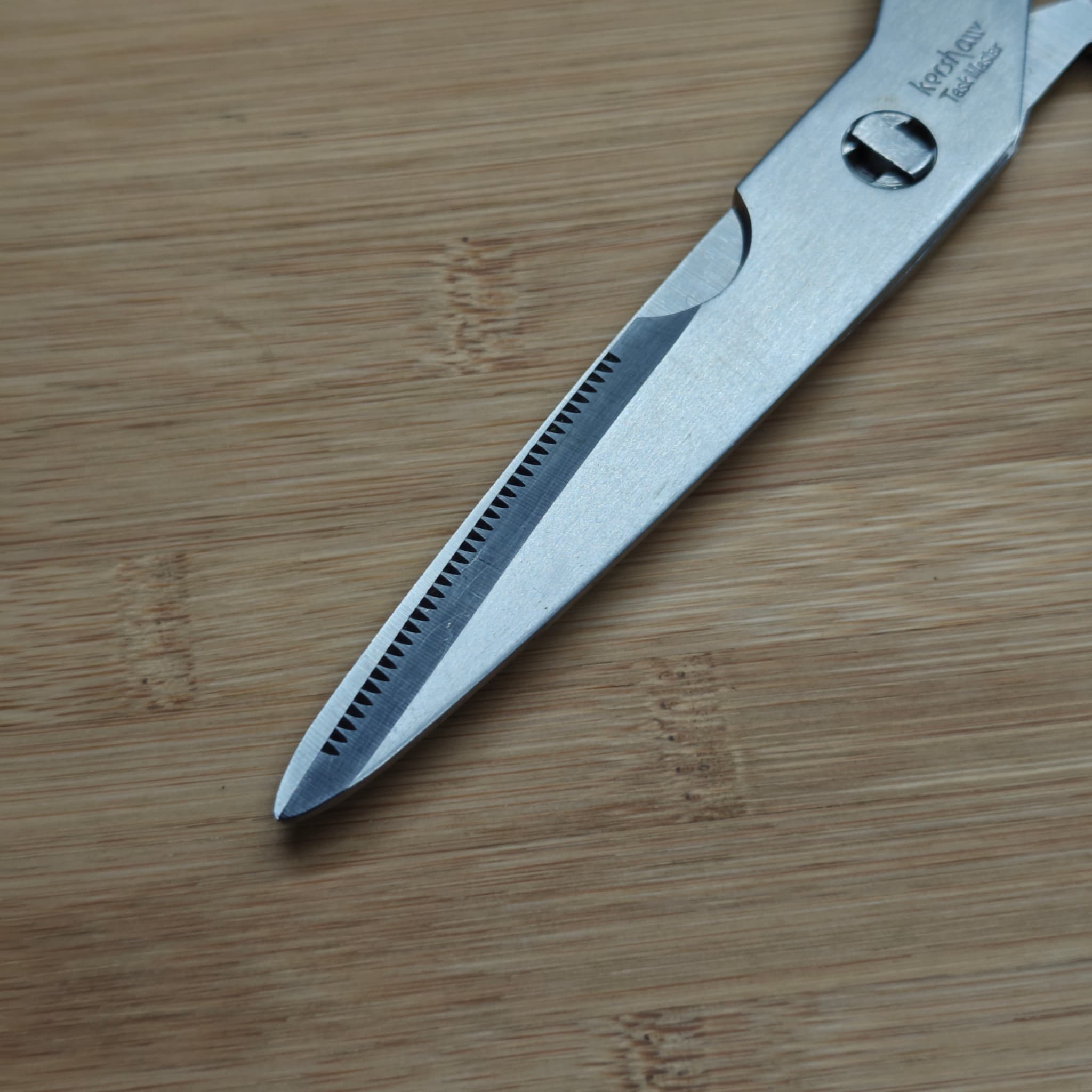 Scissor edge detail after Feb 2026 sharpening