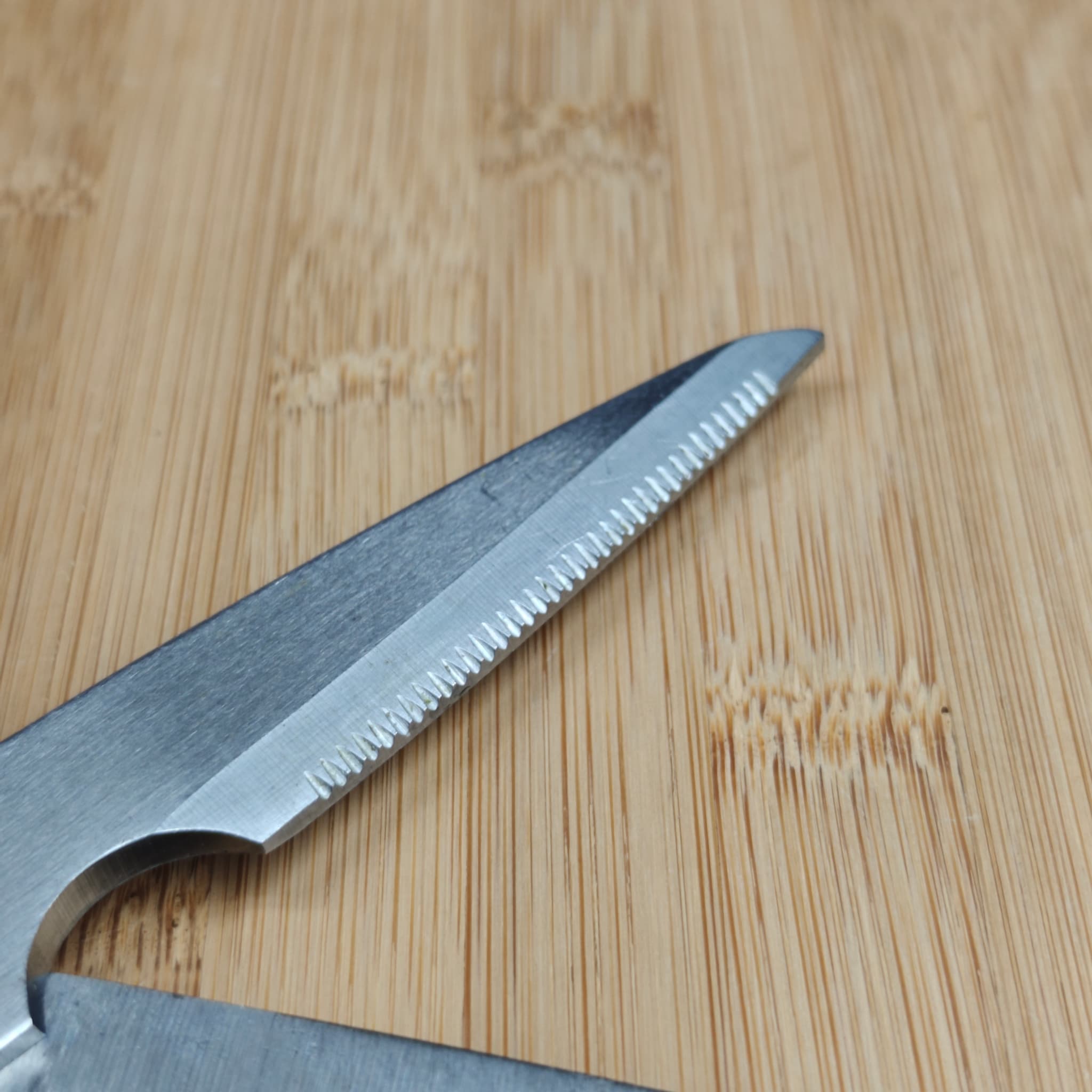 Professional scissors after Feb 2026 service
