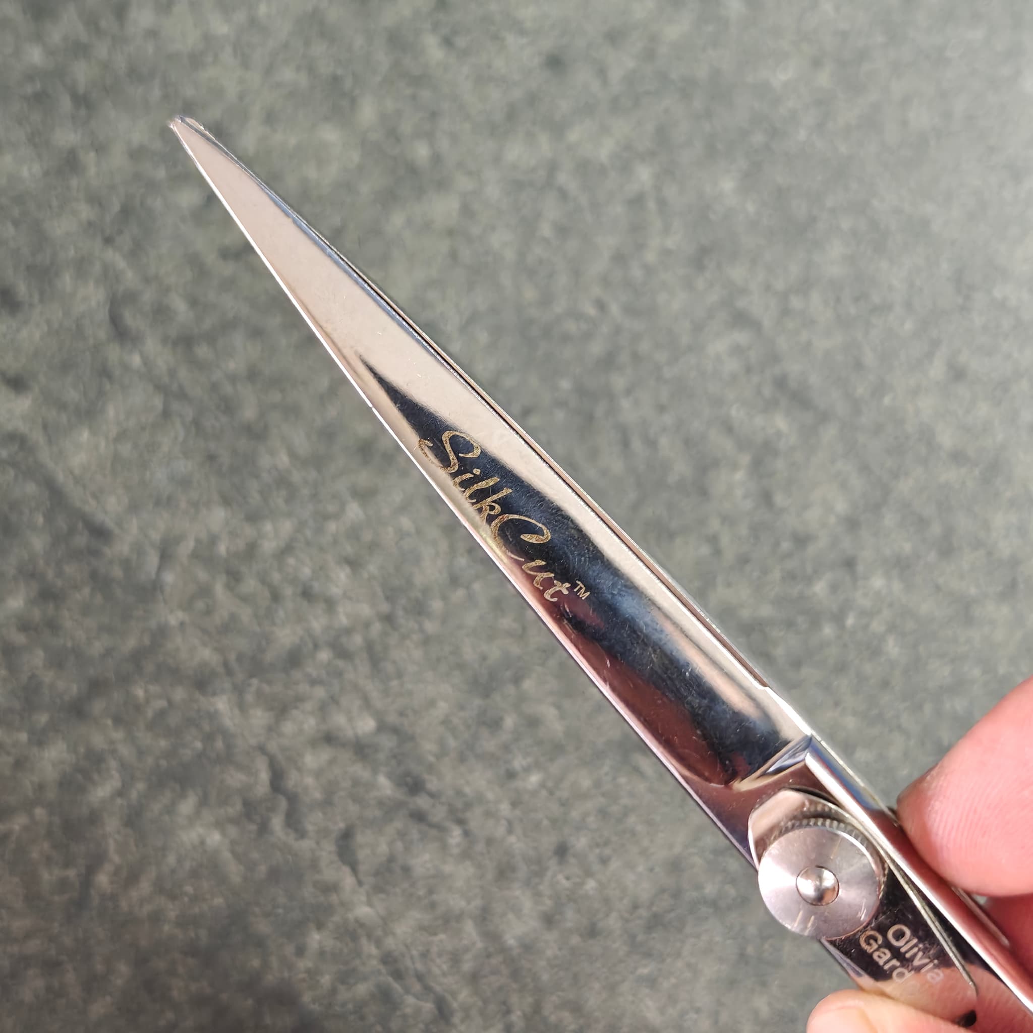 Scissors blade detail – Mar 5 2026 sharpening