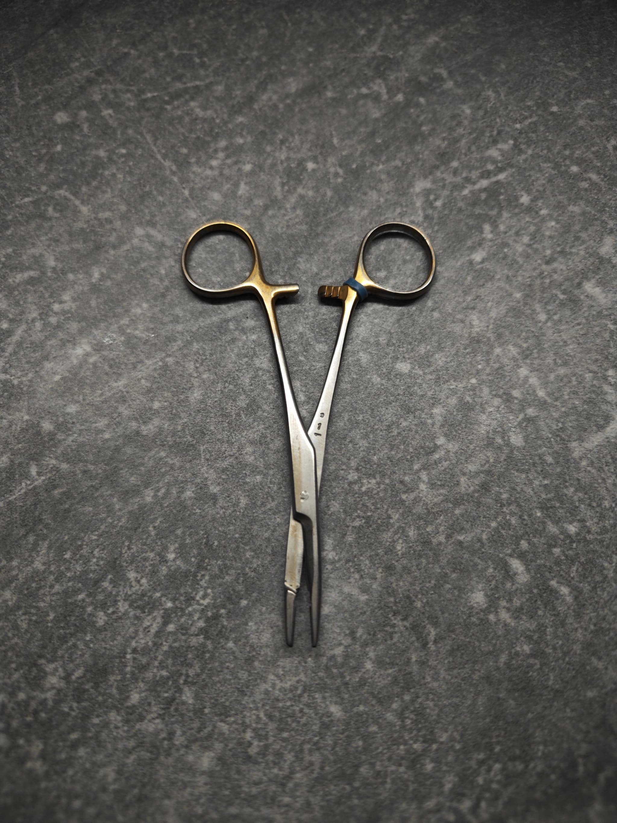 Scissors edge restored – Apr 30 2026 sharpening