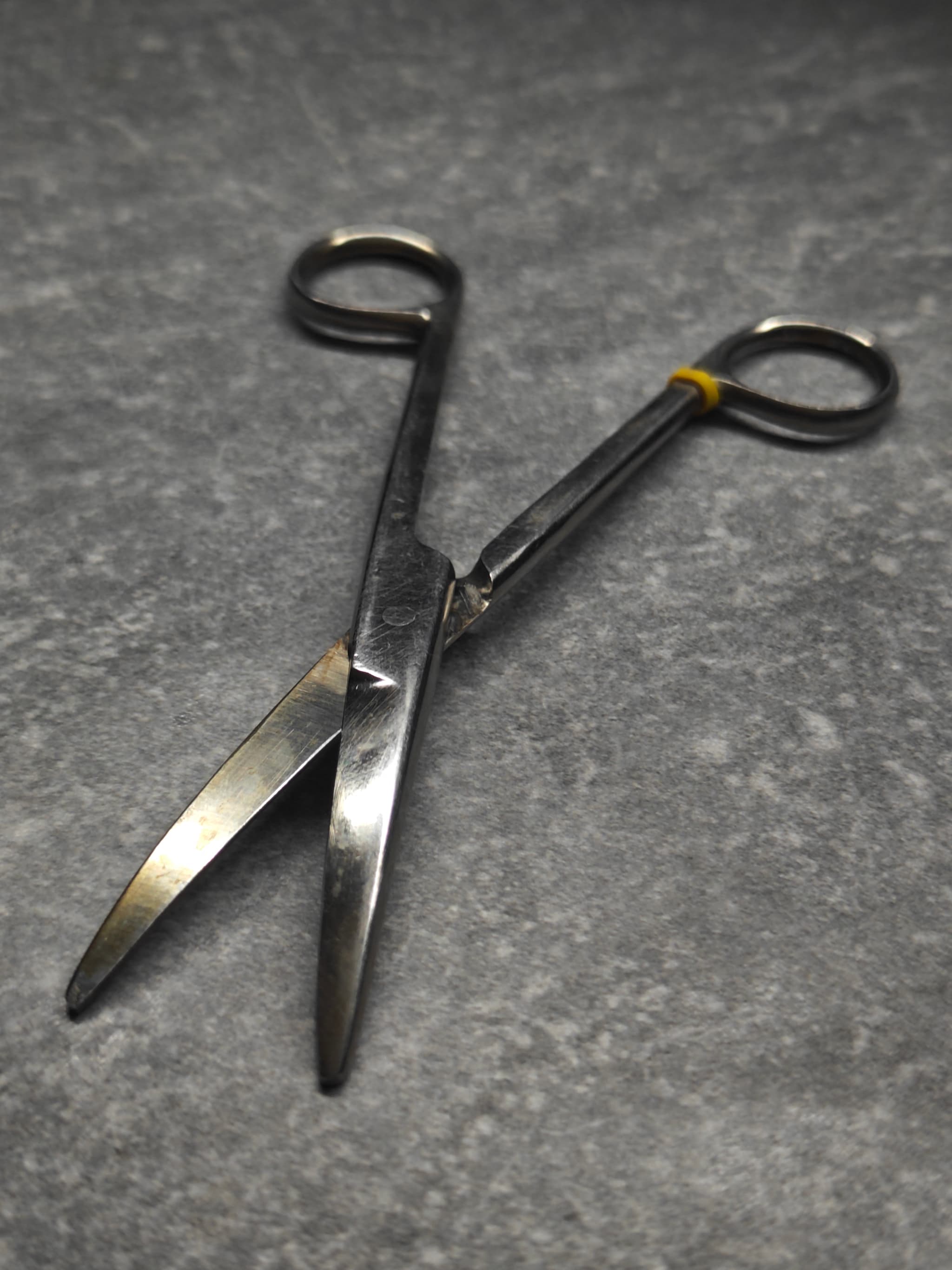Scissors blade detail – clean and sharp Apr 30