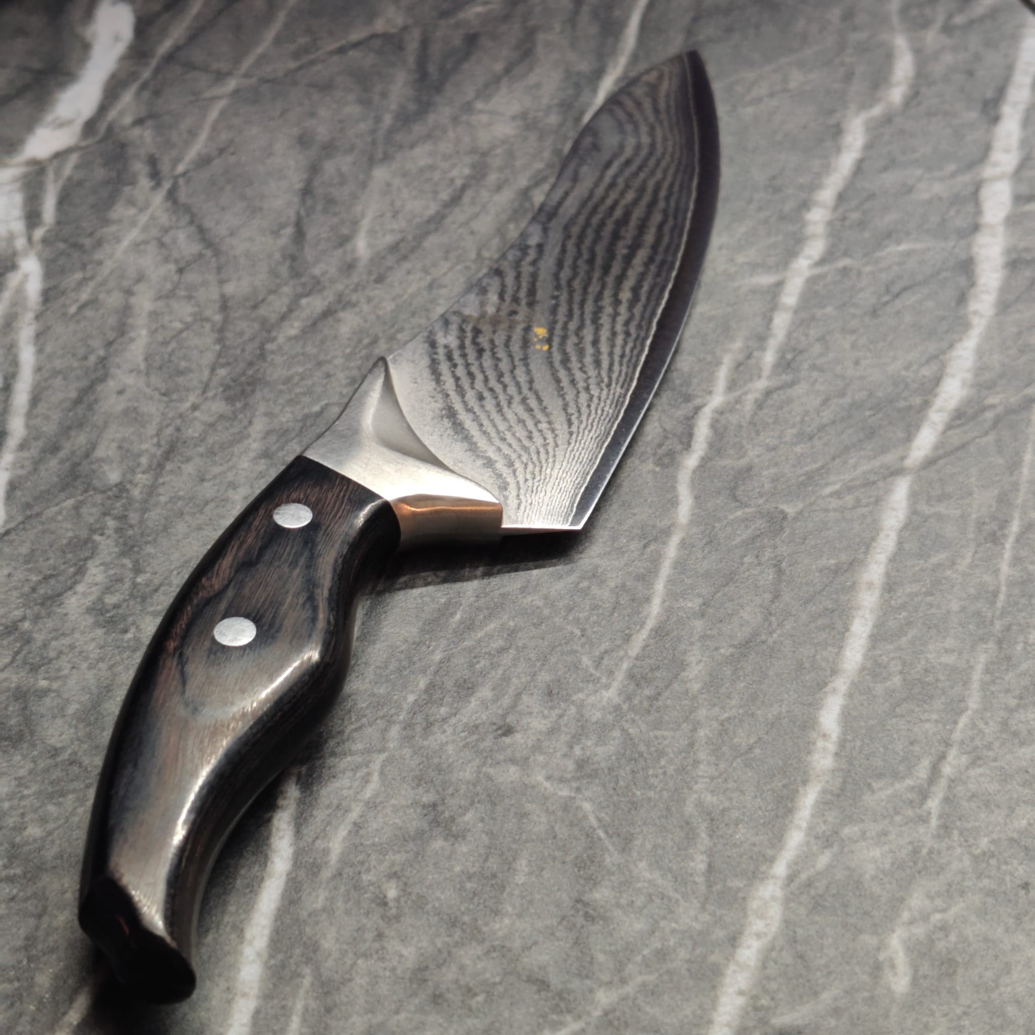 Precision scissors after sharpening detail