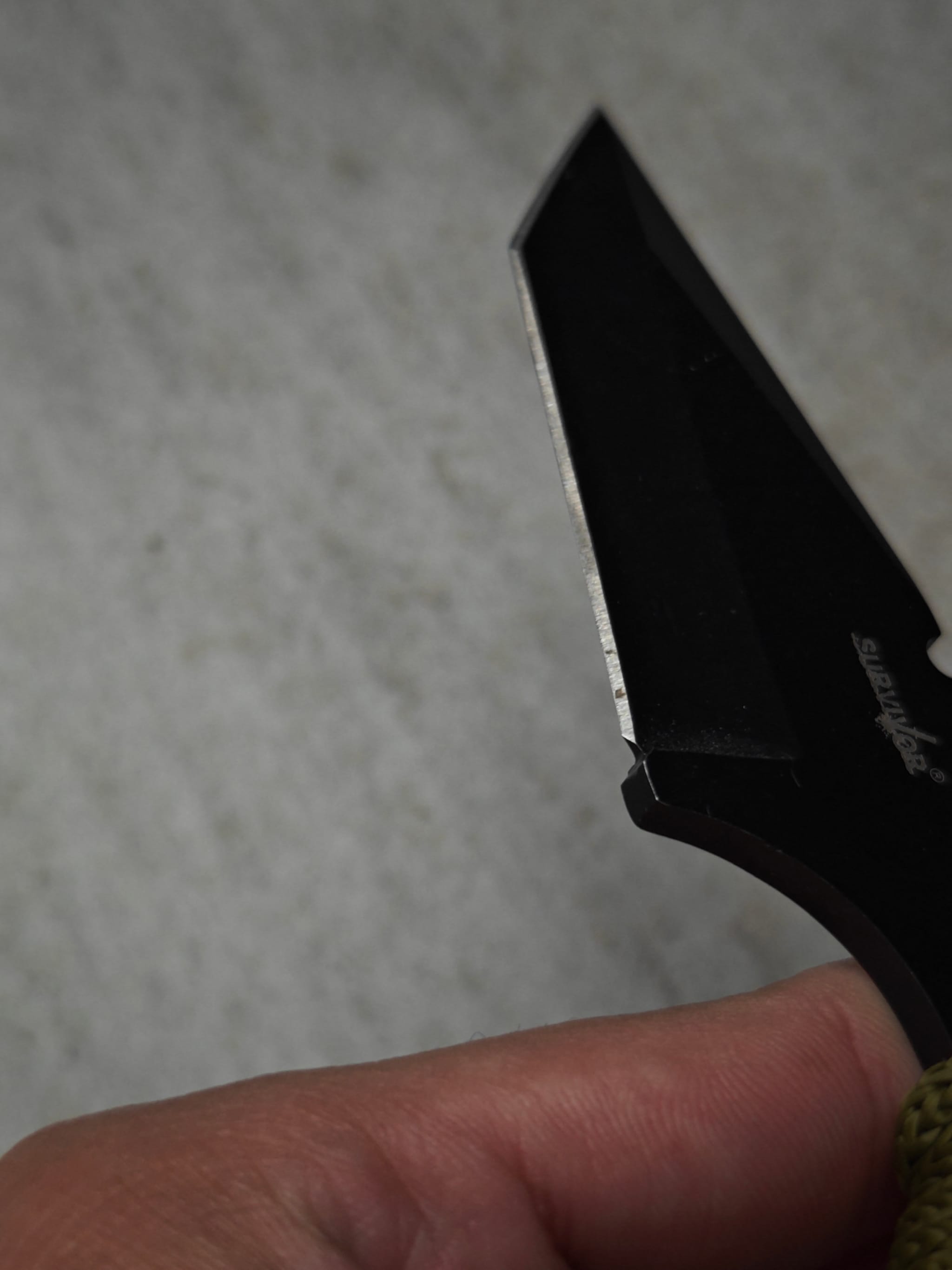 Pocket knife – clean blade after professional sharpening