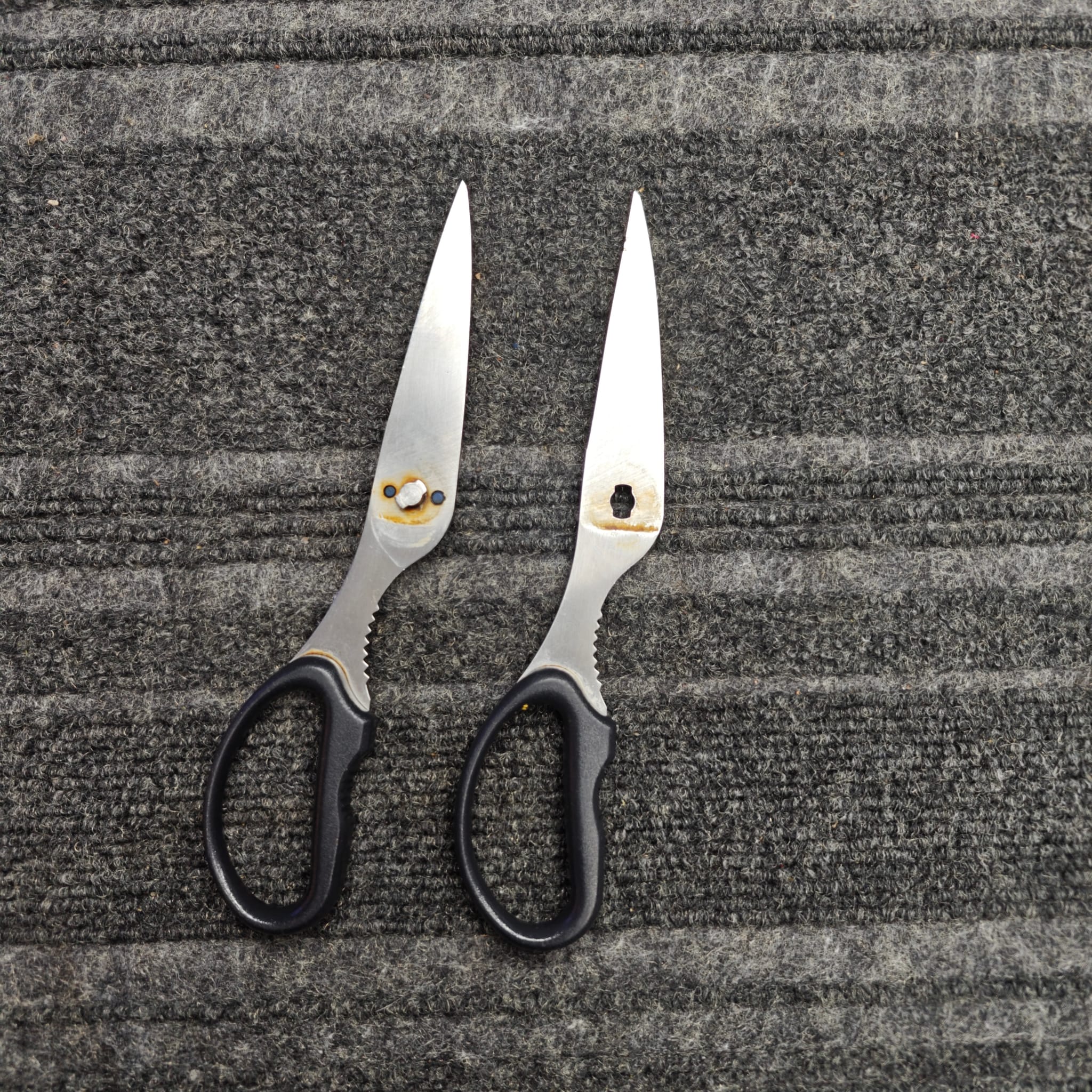 Scissors after afternoon sharpening session