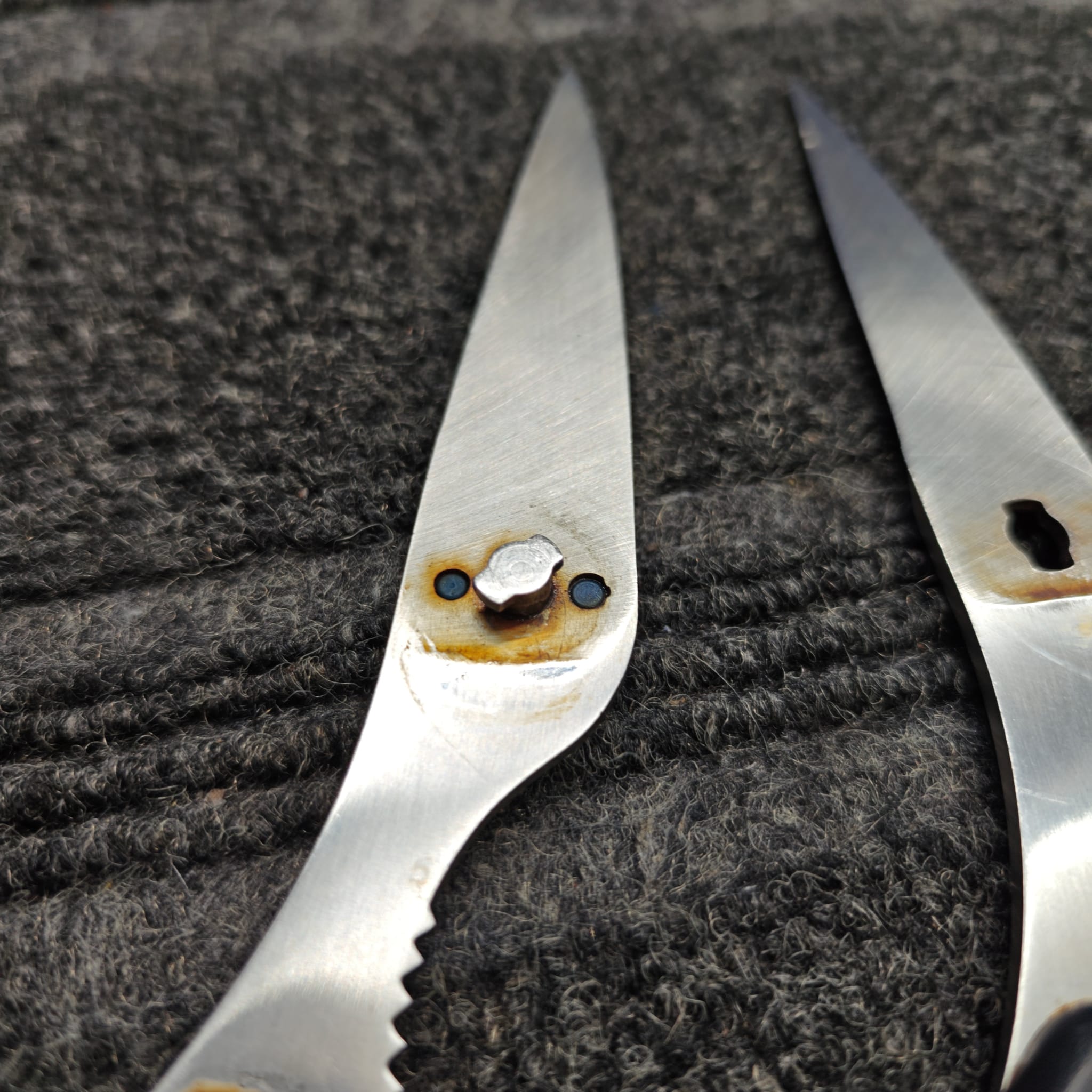 Scissors tip detail after precision sharpening
