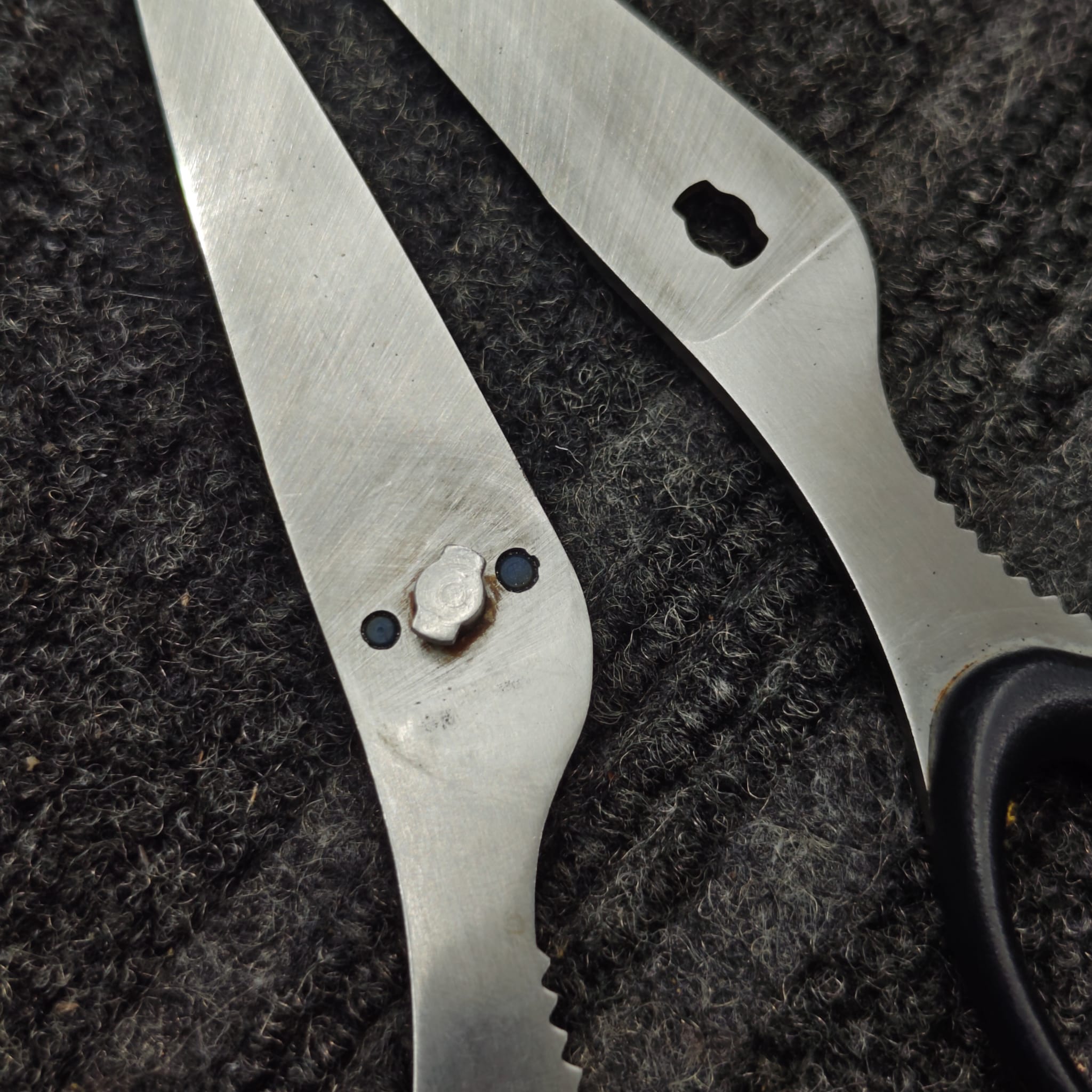 Multiple scissors after professional sharpening batch