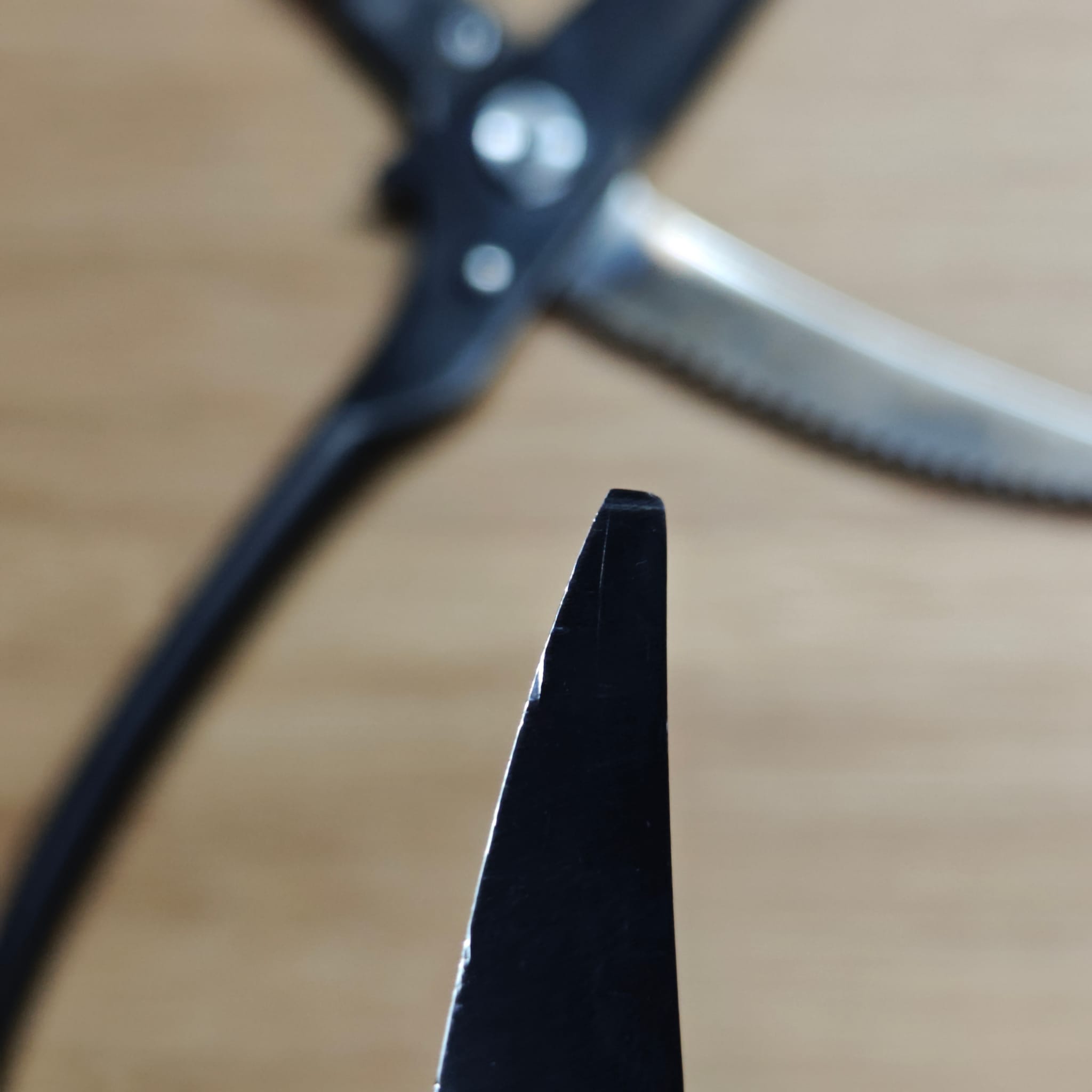 Sharp scissors ready for pickup return – Jan 2026