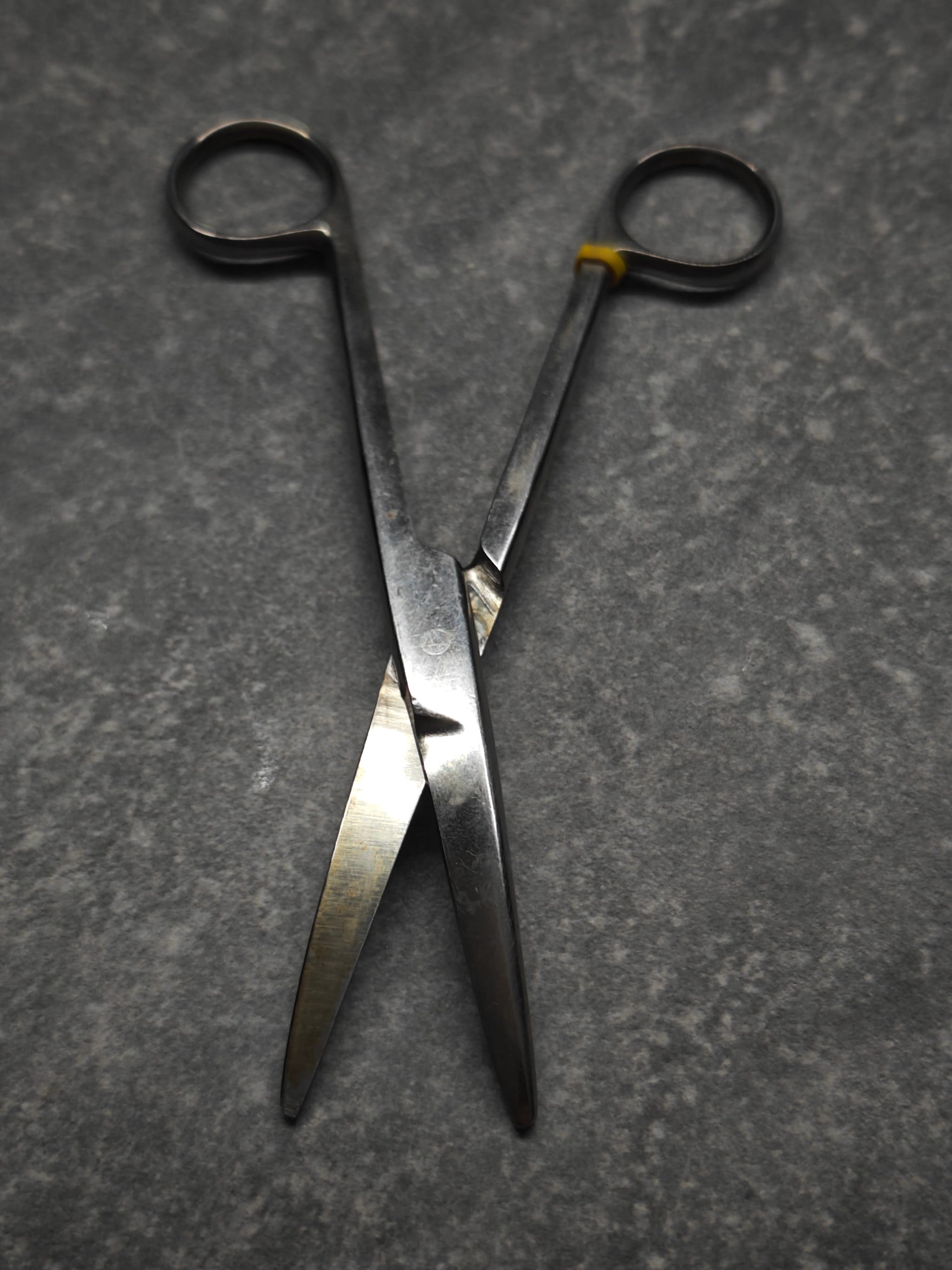 Scissors restored to factory edge – Apr 30 2026