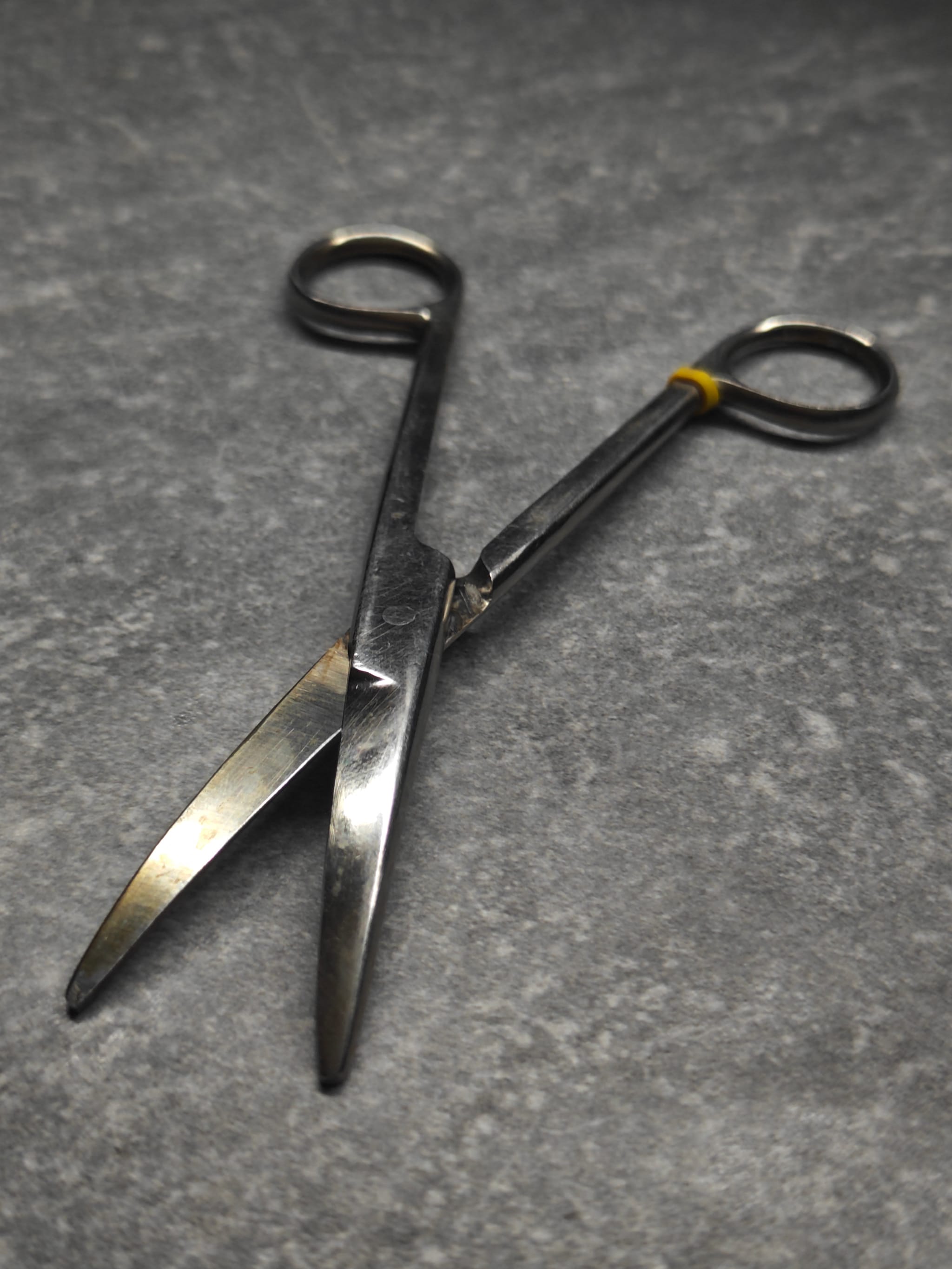 Scissors blade detail – clean and sharp Apr 30
