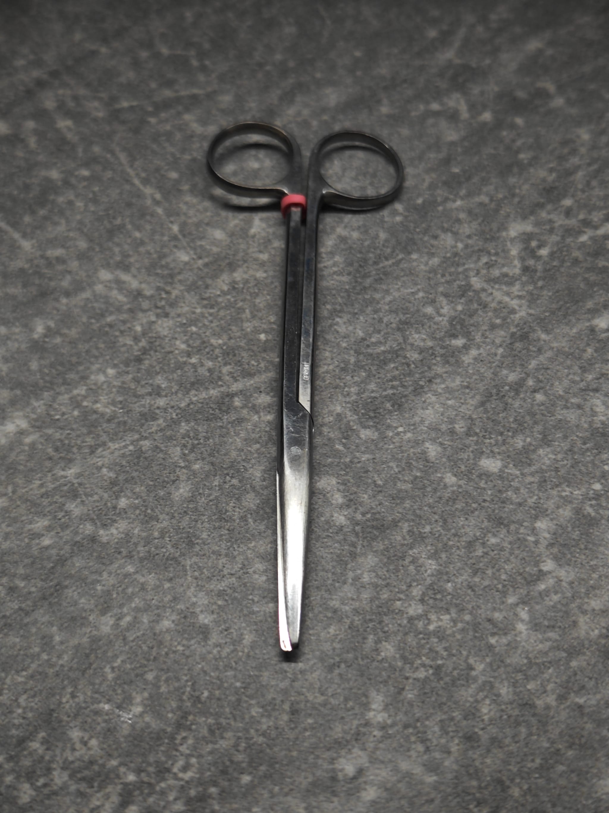 Scissors after Apr 30 afternoon service