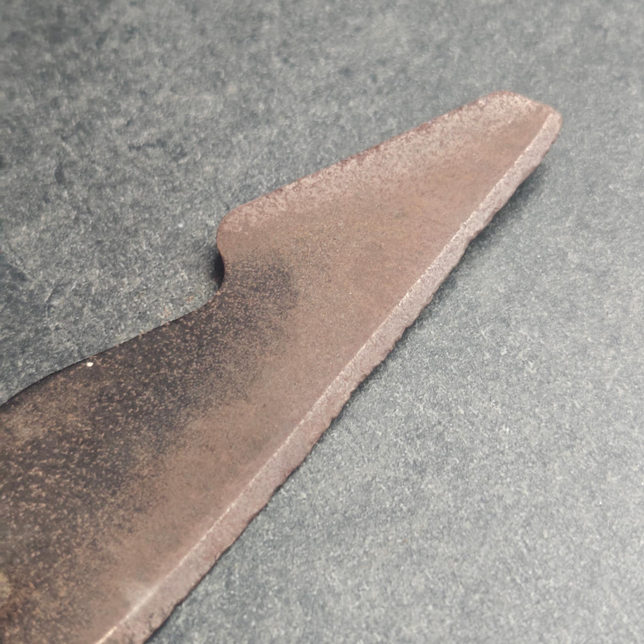 Lawn mower blade with chip before repair